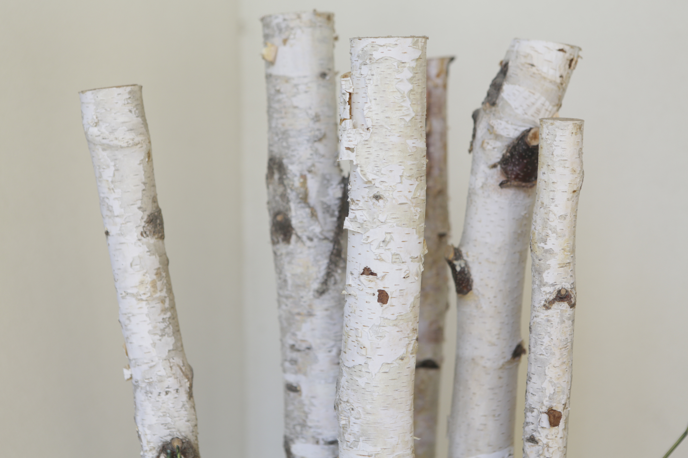 Artificial White Burch and Foliage Planter