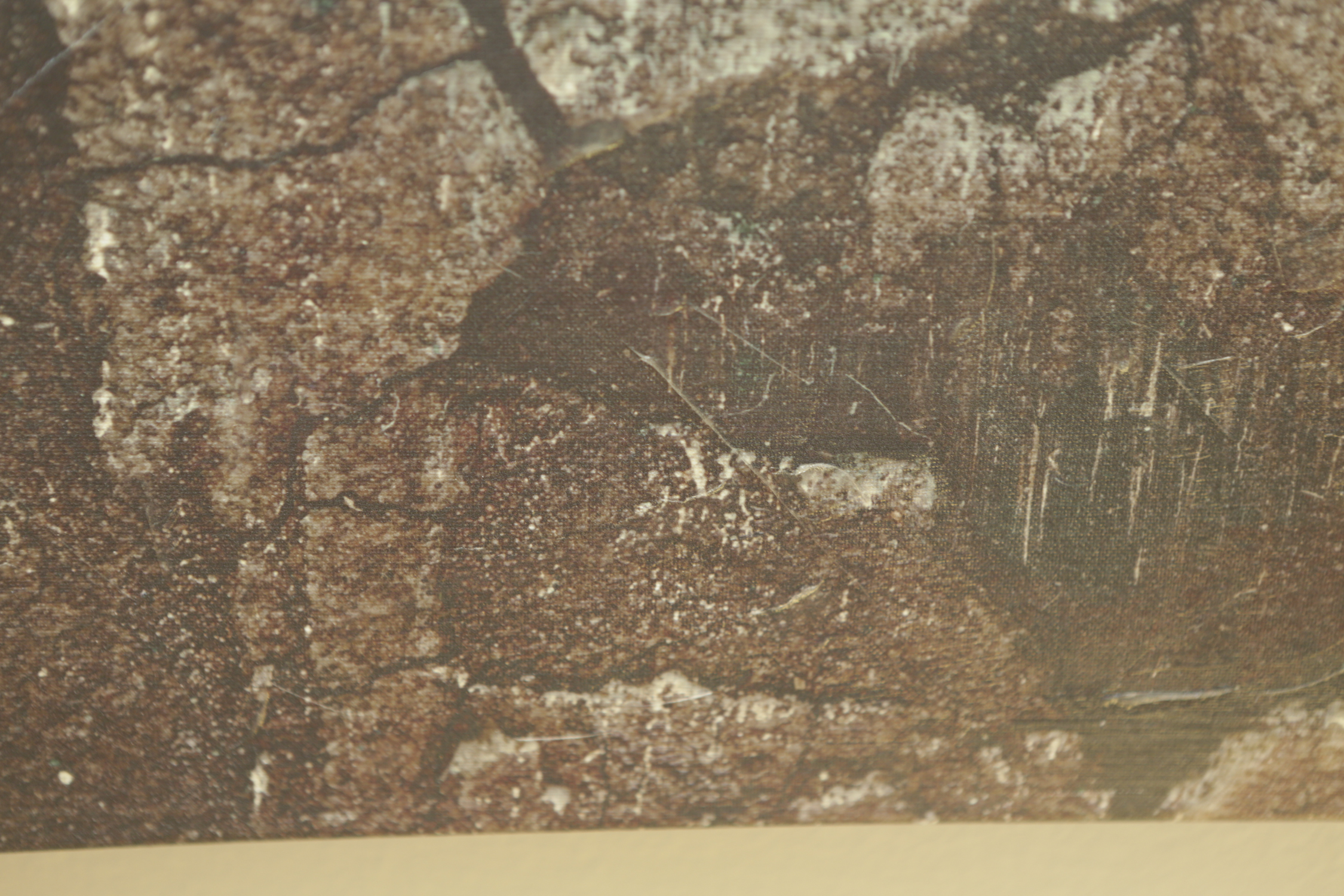 Giclee "Latitude Run Desert Glacier"