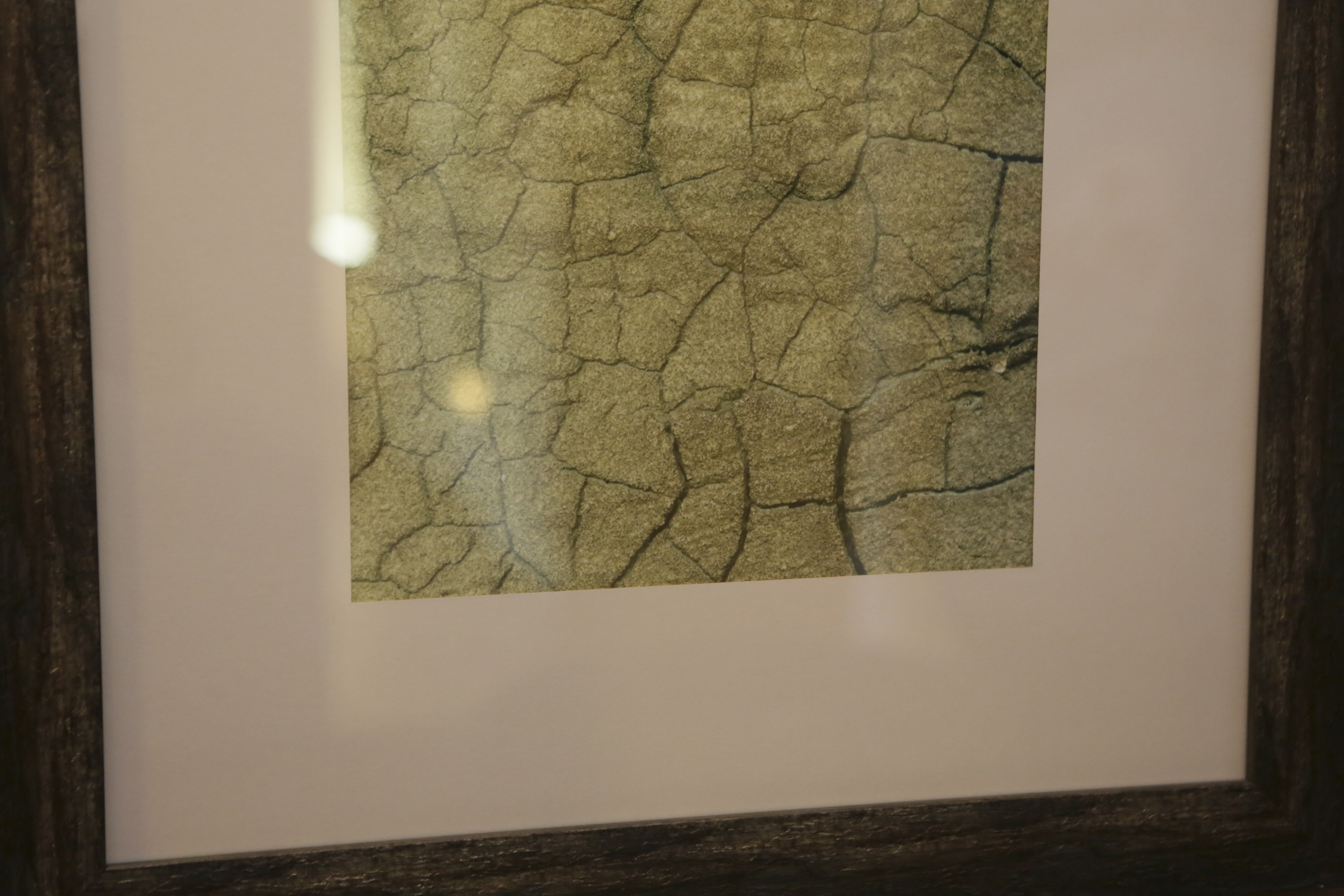 Abstract Contempory Offset Lithographs