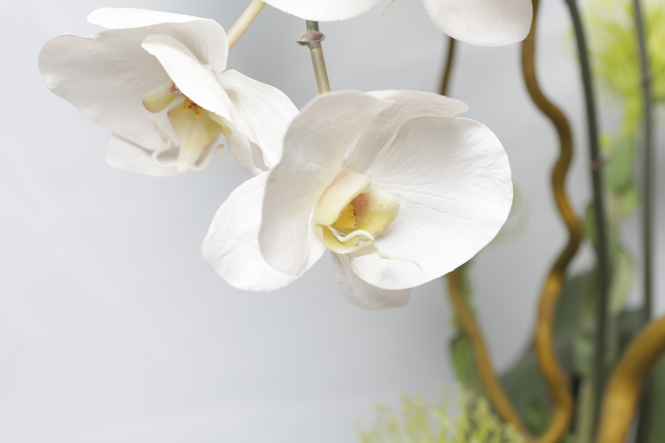 Faux Orchid in Decorative Ceramic Pot