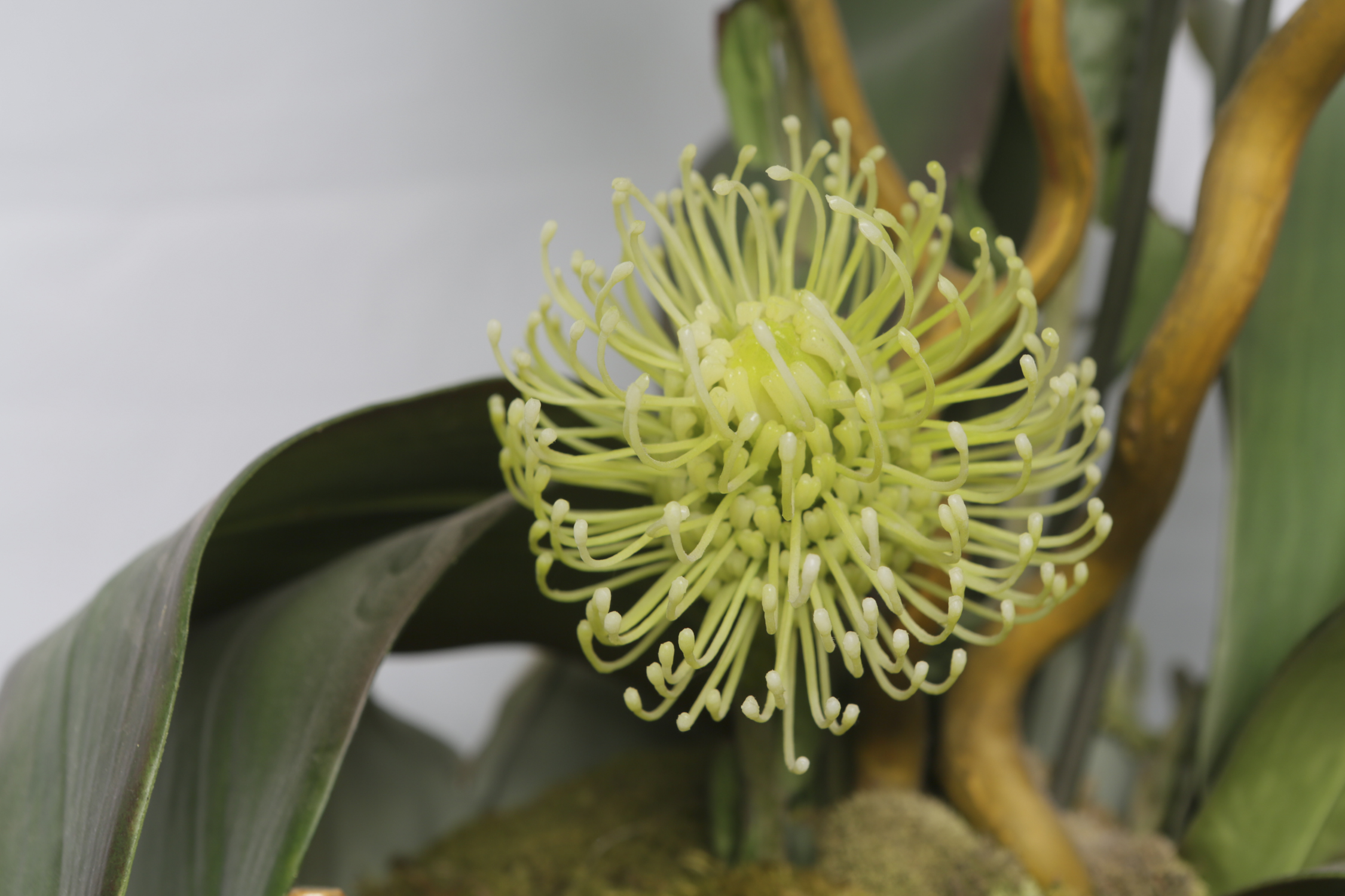 Faux Orchid in Decorative Ceramic Pot