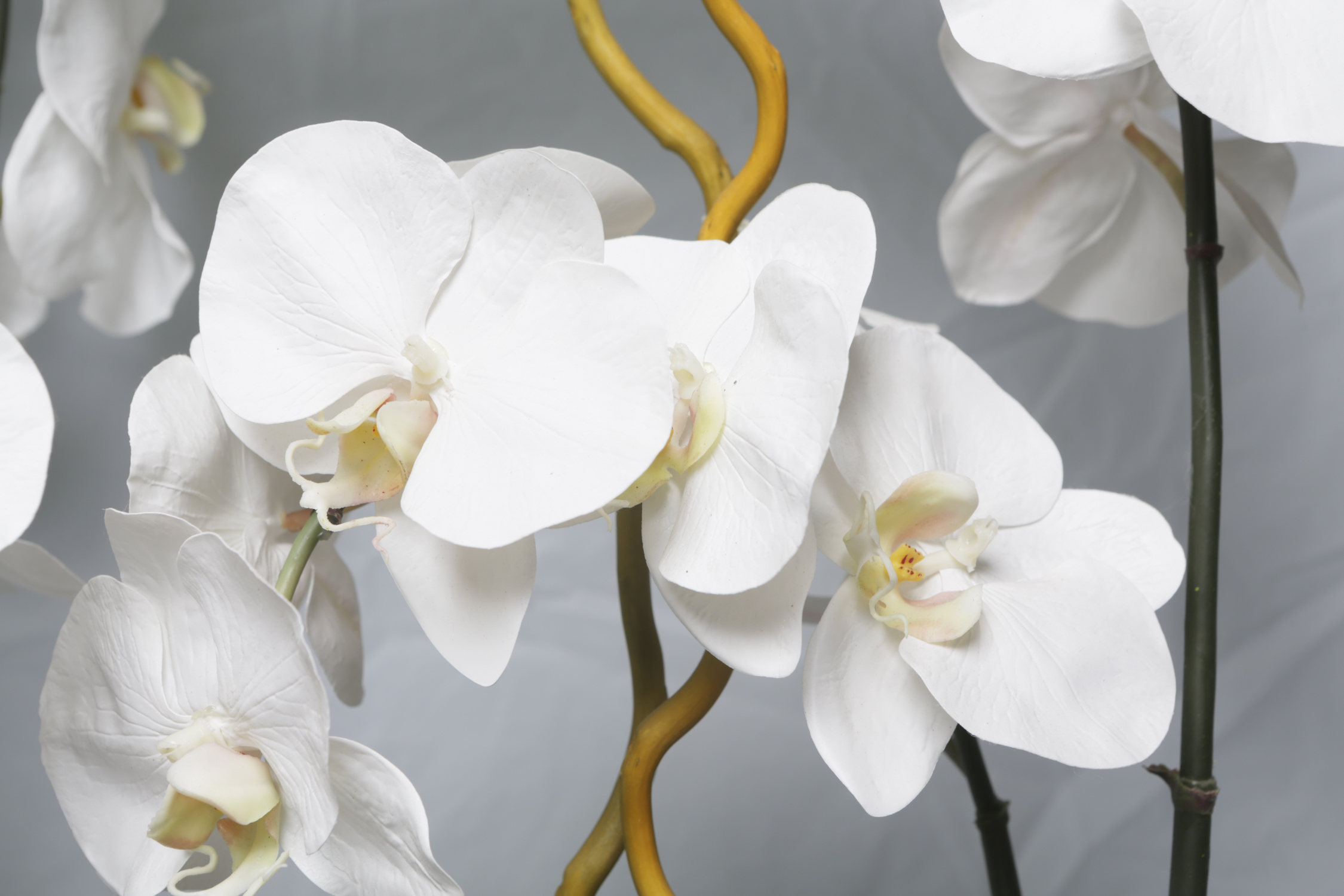 Faux Orchids in Decorative  Glass Pots