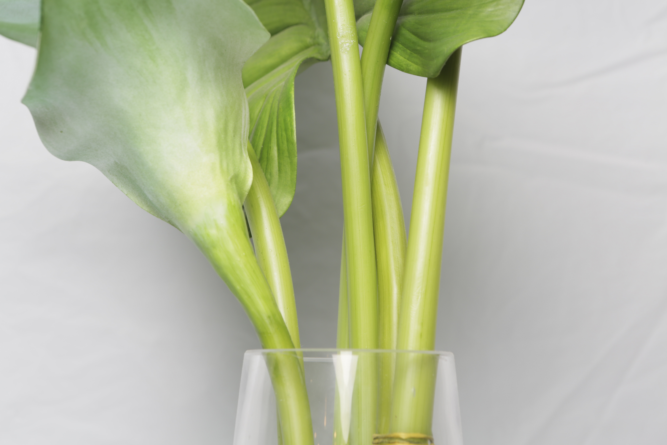 Faux Ficus Plant in Tall Clear Glass Vase