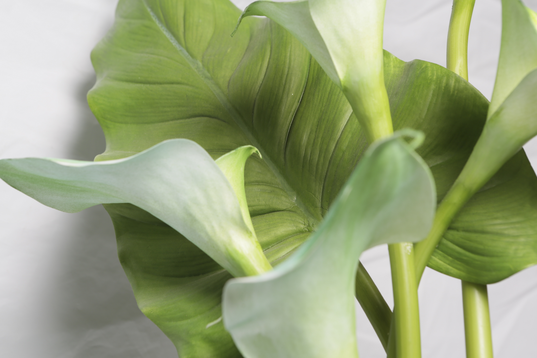 Faux Ficus Plant in Tall Clear Glass Vase