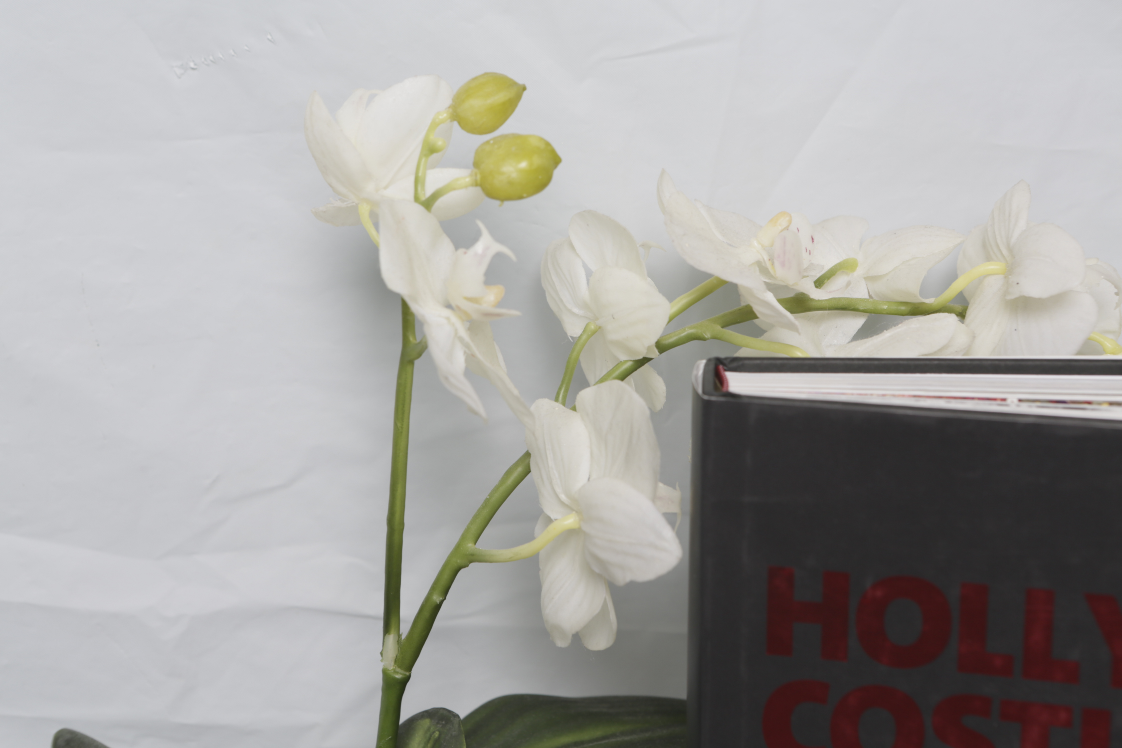 "City By Design" and Other Coffee Table Books with Tray and Faux Flowers