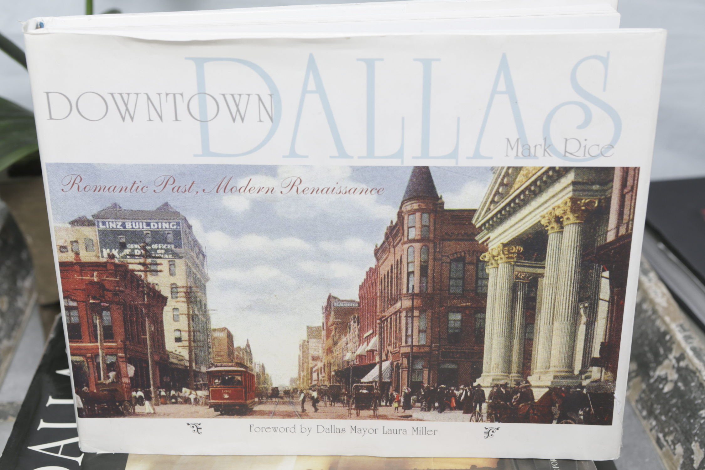 "City By Design" and Other Coffee Table Books with Tray and Faux Flowers