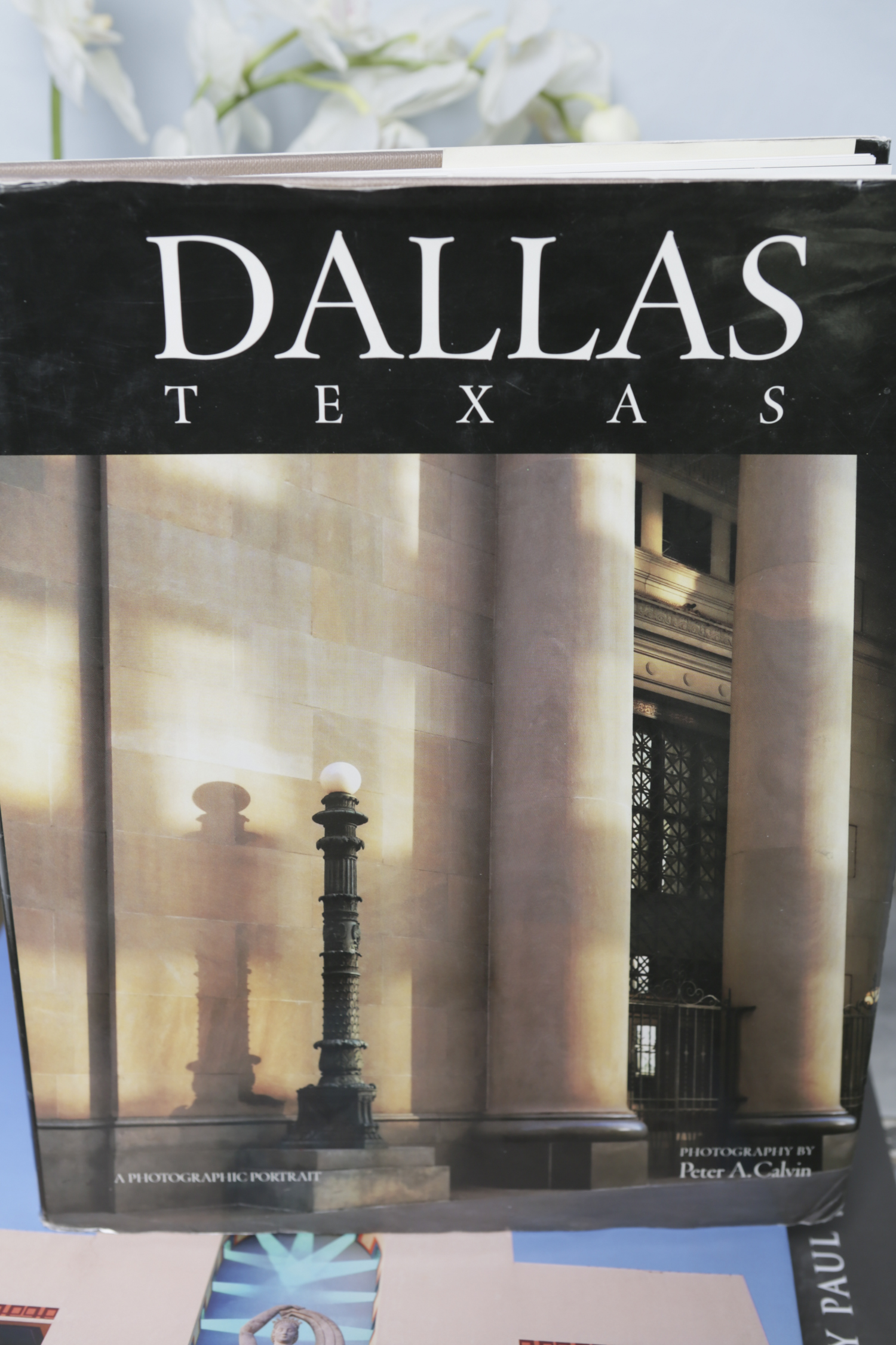 "City By Design" and Other Coffee Table Books with Tray and Faux Flowers