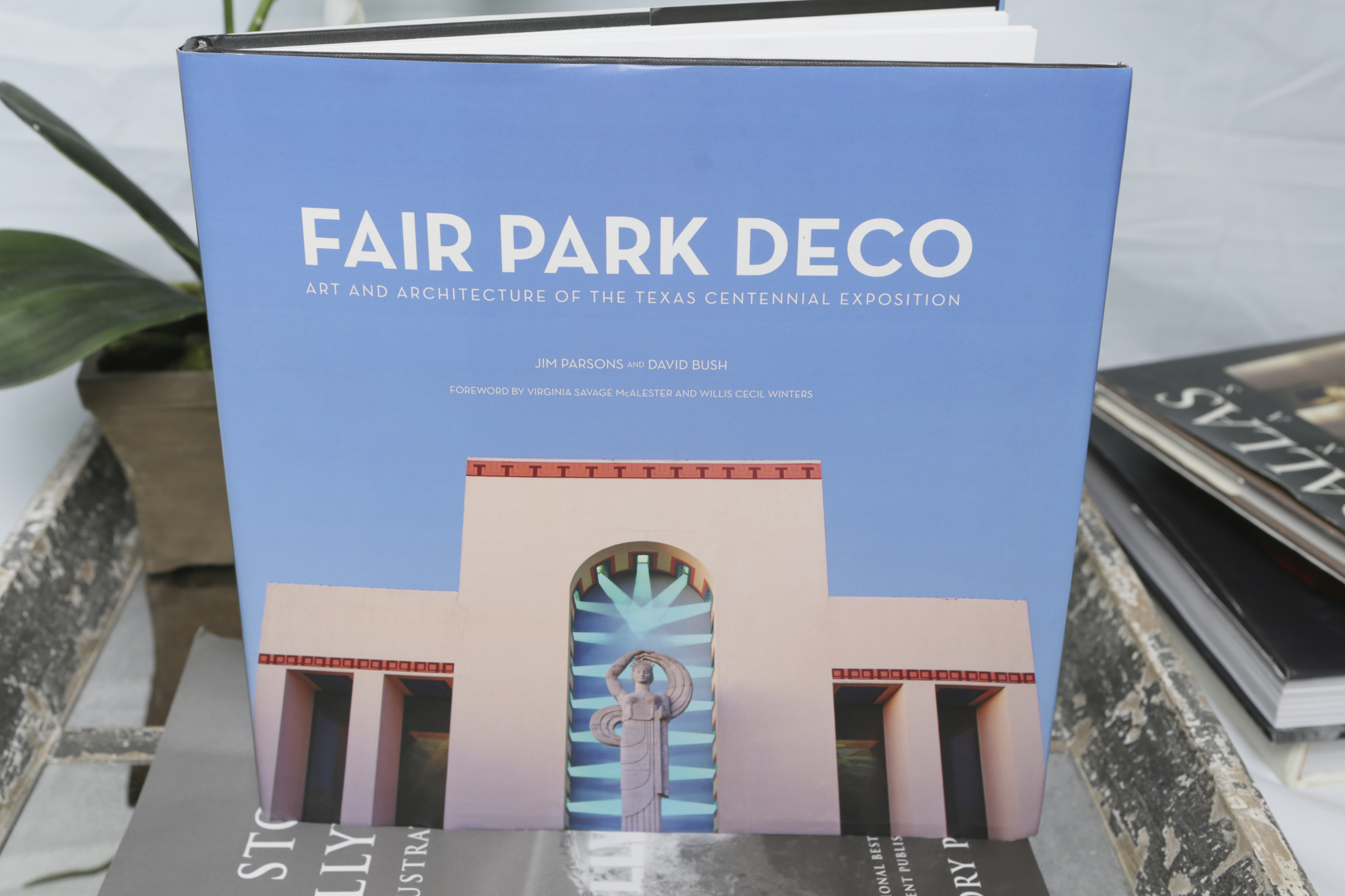 "City By Design" and Other Coffee Table Books with Tray and Faux Flowers