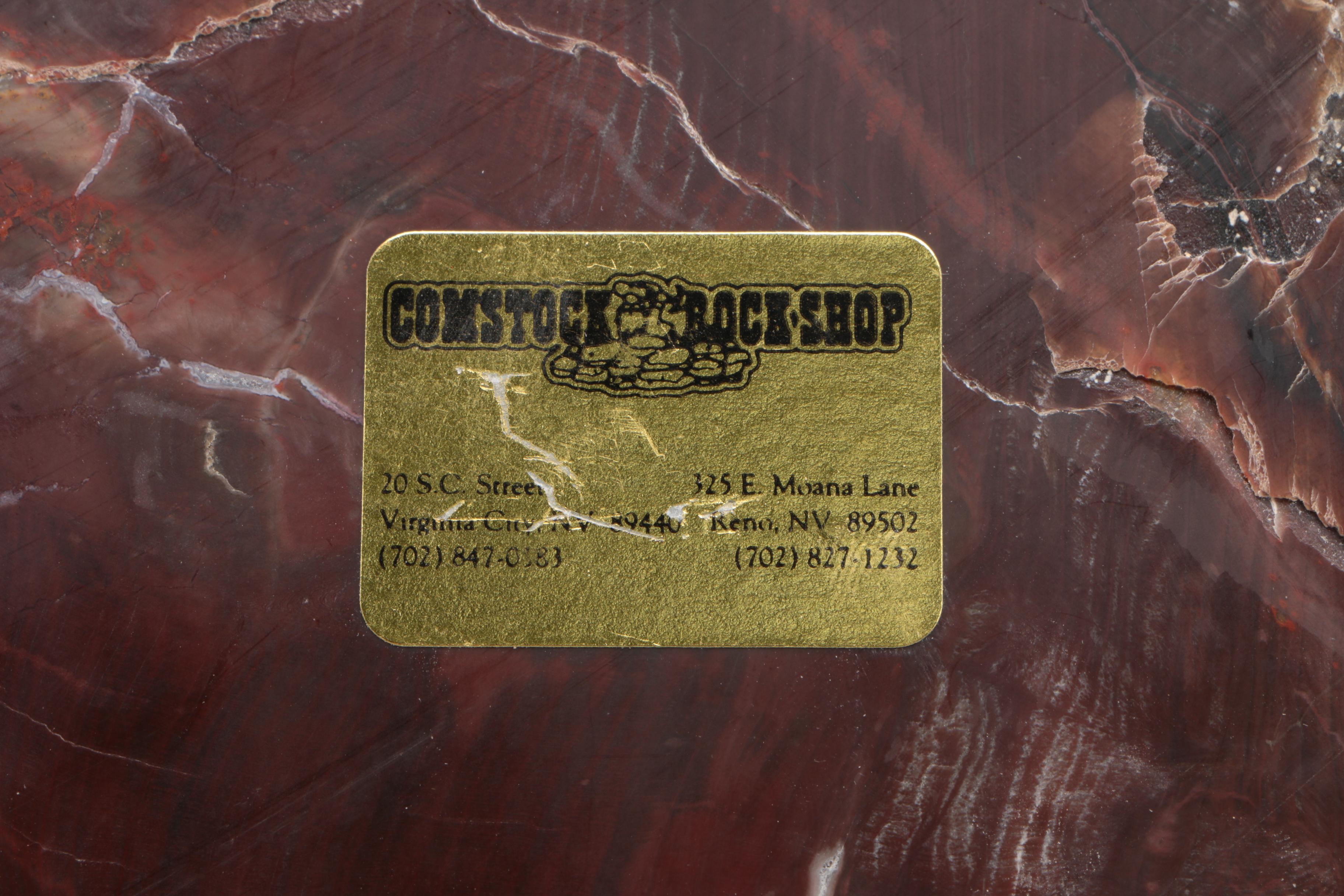 Petrified Wood Specimen