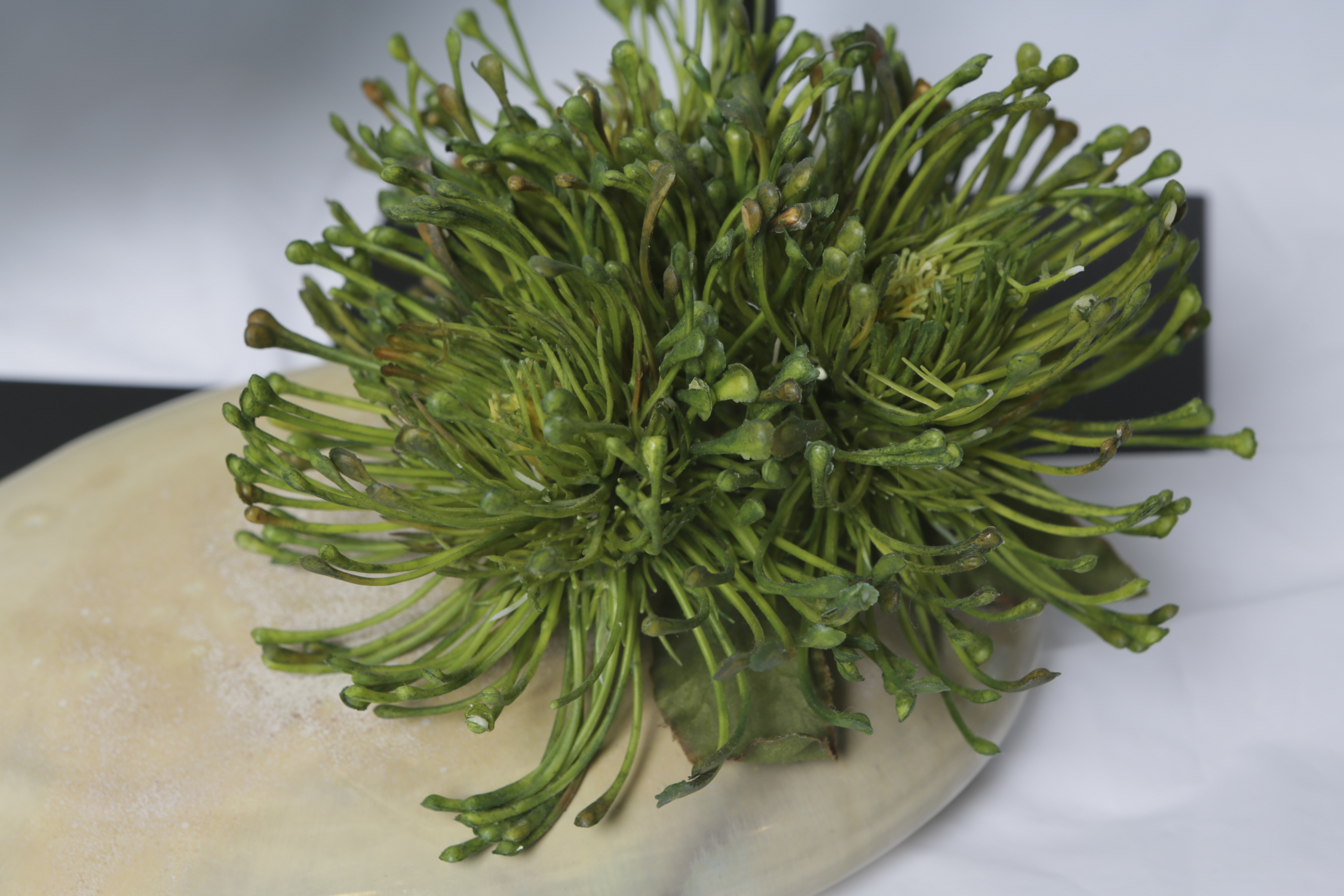 Marble Disk Sculptures on Stands and Silk Plants