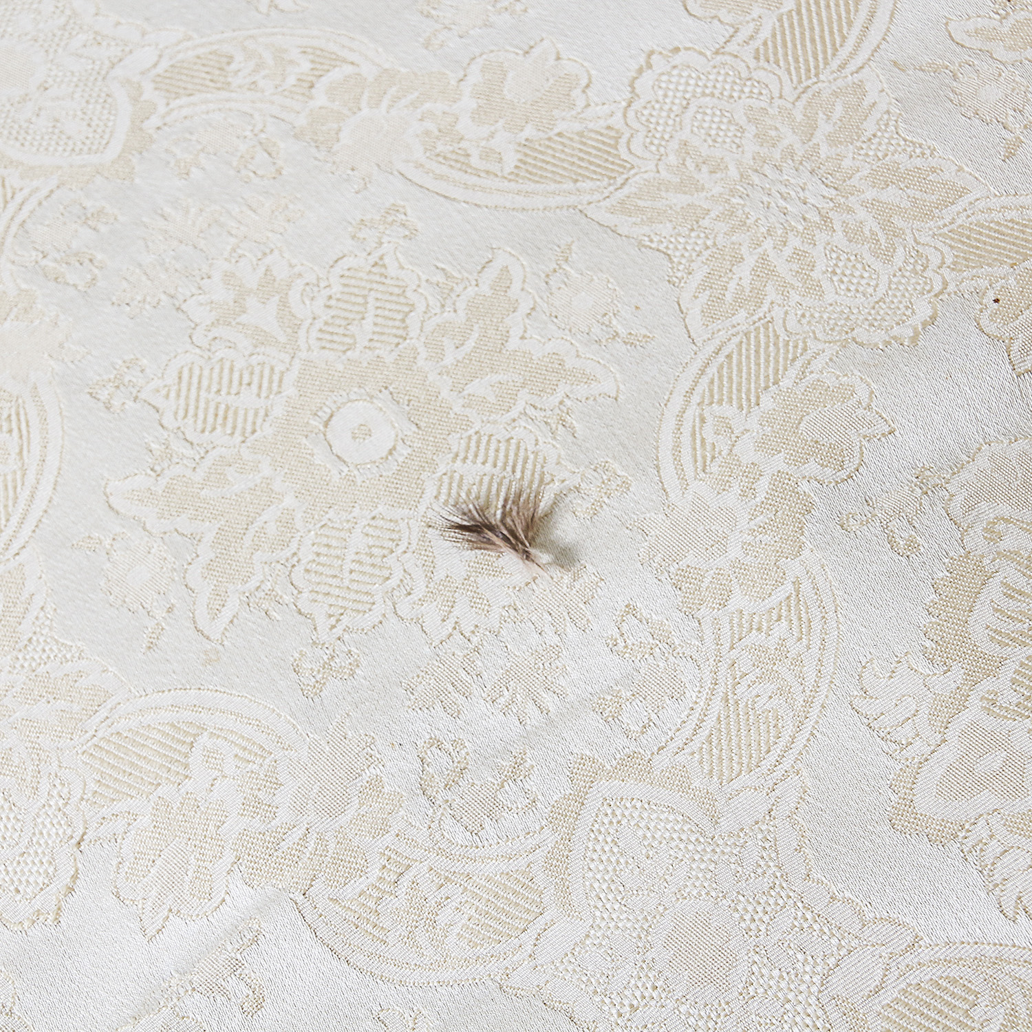 Vintage Louis XV Style Cream Toned Upholstered Sofa