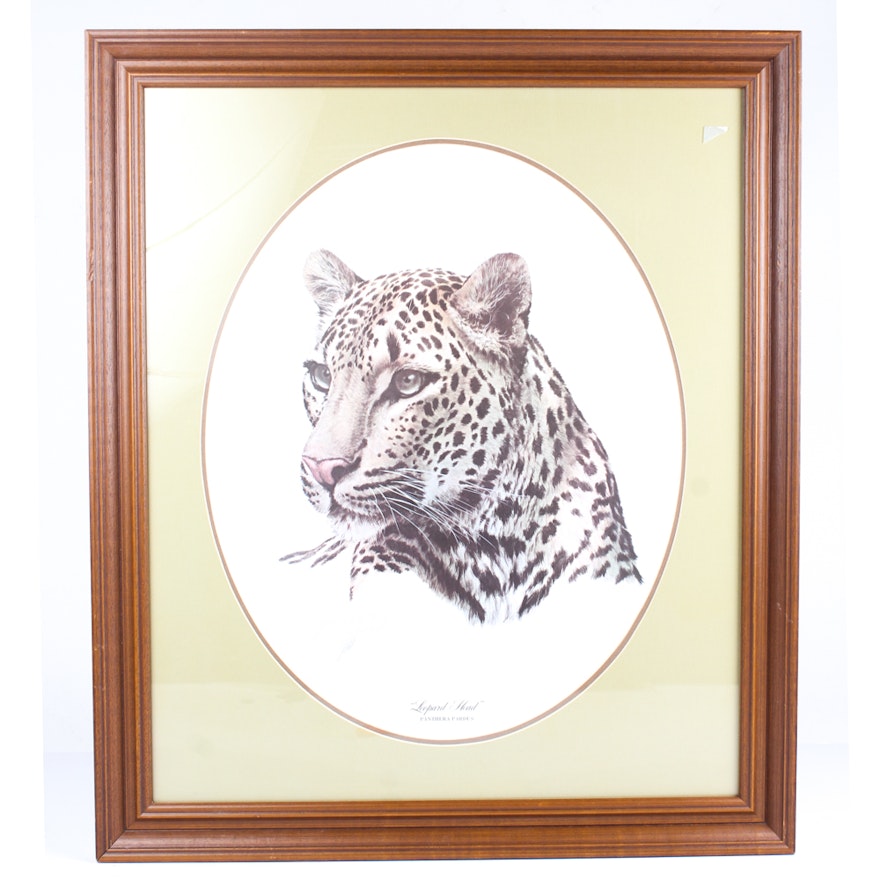 Gey Coheleach Offset Lithographs of Big Cats