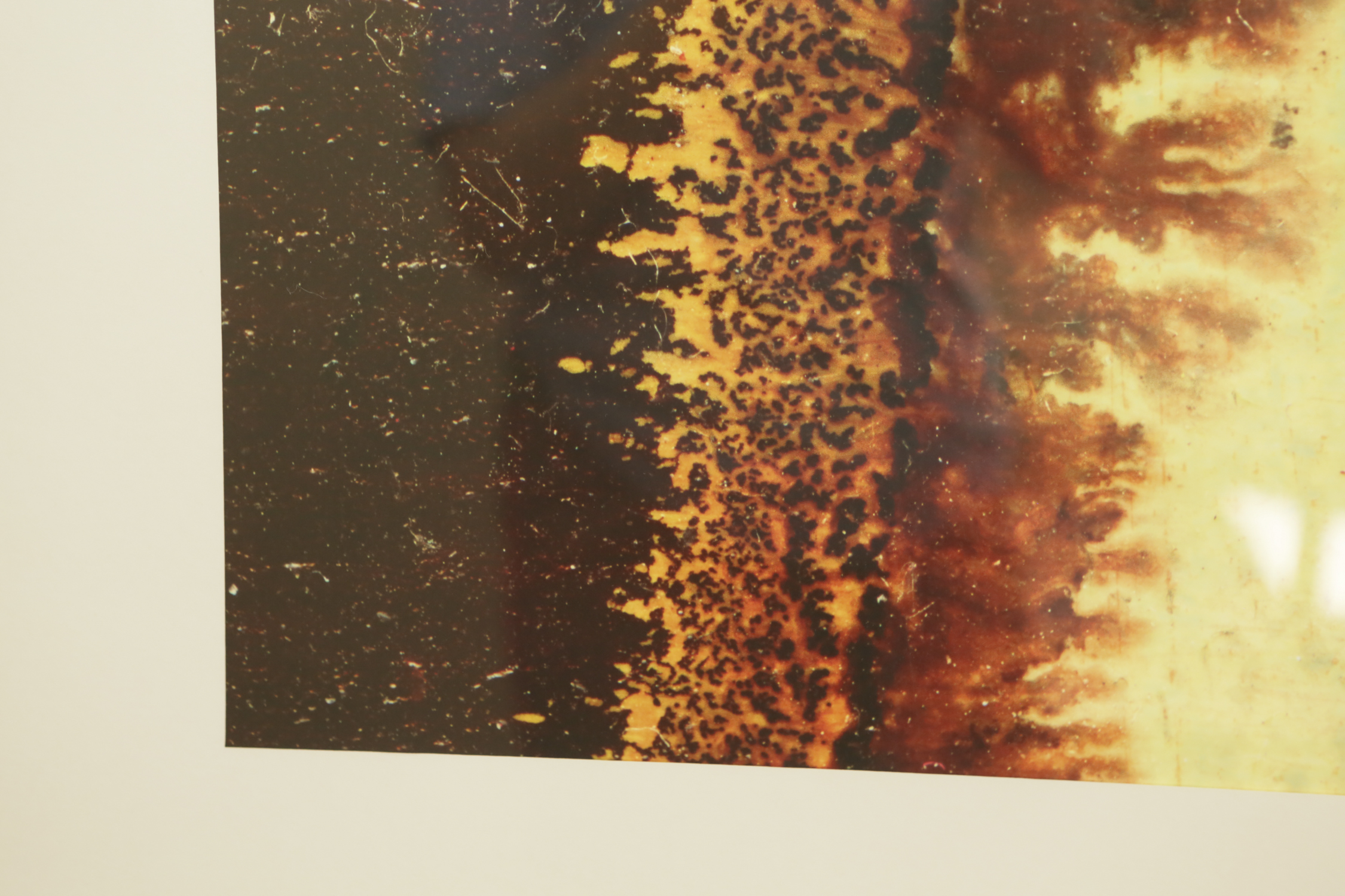 Framed Abstract Print with Linear Forms