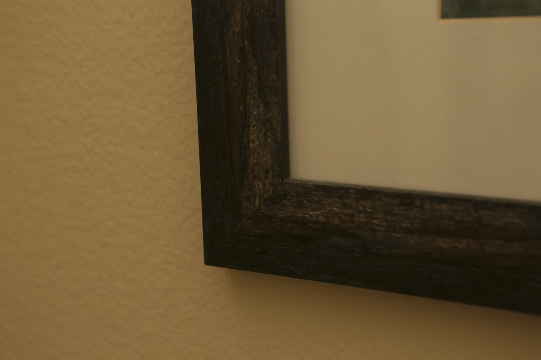 Giclée After Tim Fitzharris "American Avocet Flock Erupting into Flight"