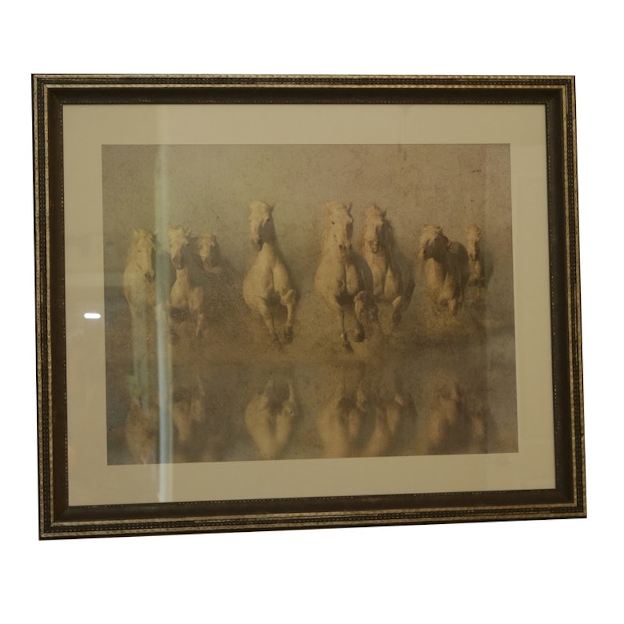 Framed Print of Running Horses