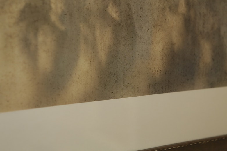 Framed Print of Running Horses