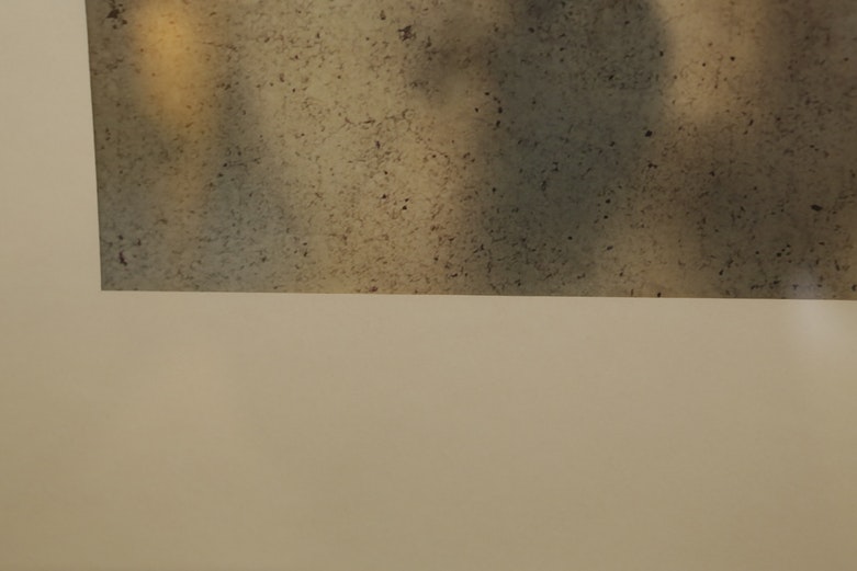 Framed Print of Running Horses