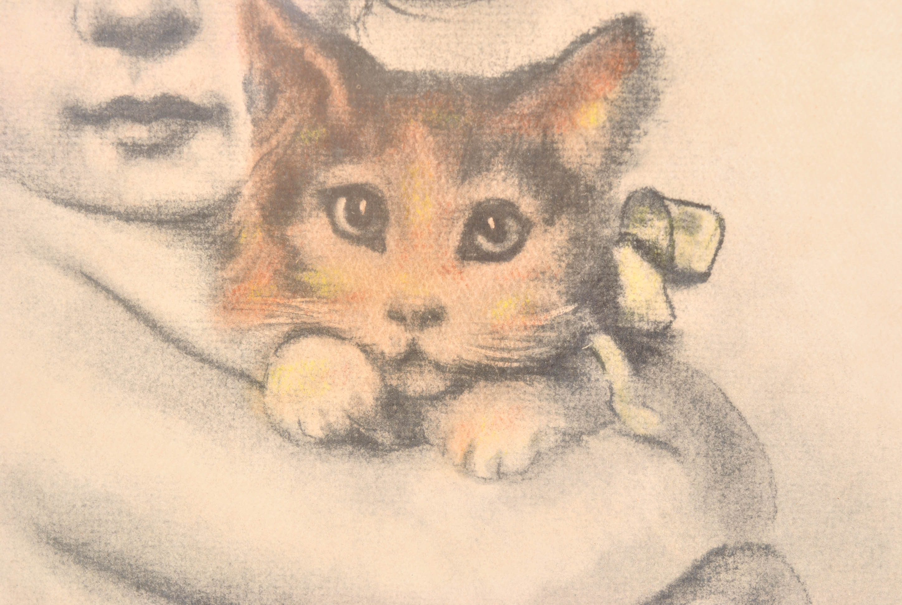 Anne Hershenburgh Limited Edition Offset Lithograph