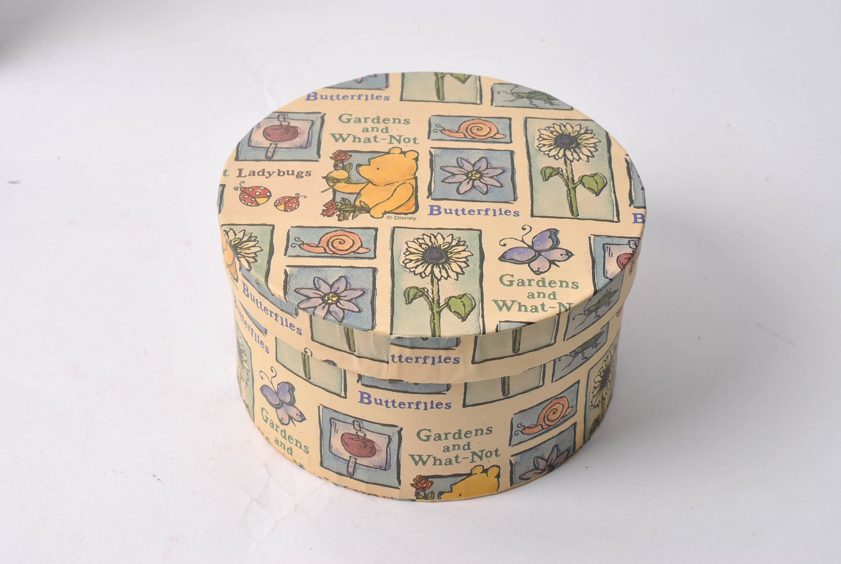 Disney "Touch of Summer" Winnie The Pooh Figurine, Books and Box