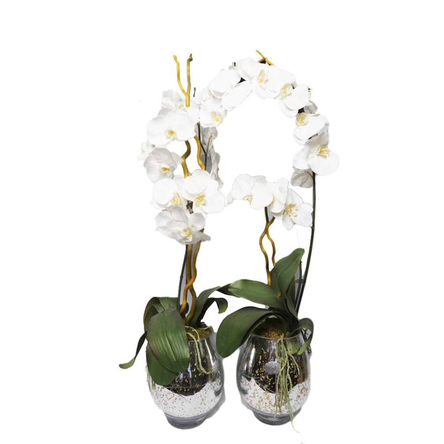 Faux Orchids in Decorative  Glass Pots