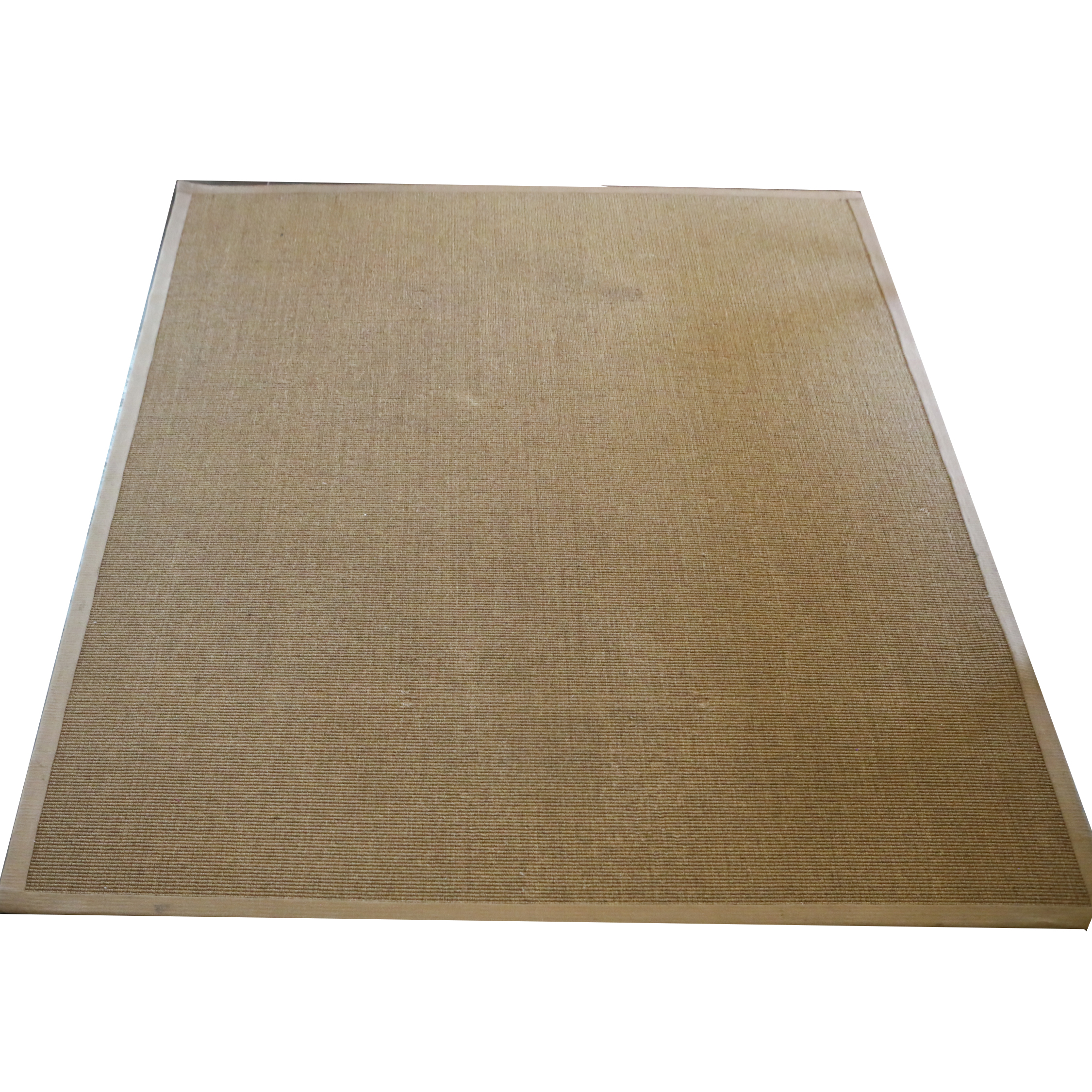 Pottery Barn Sisal Area Rug