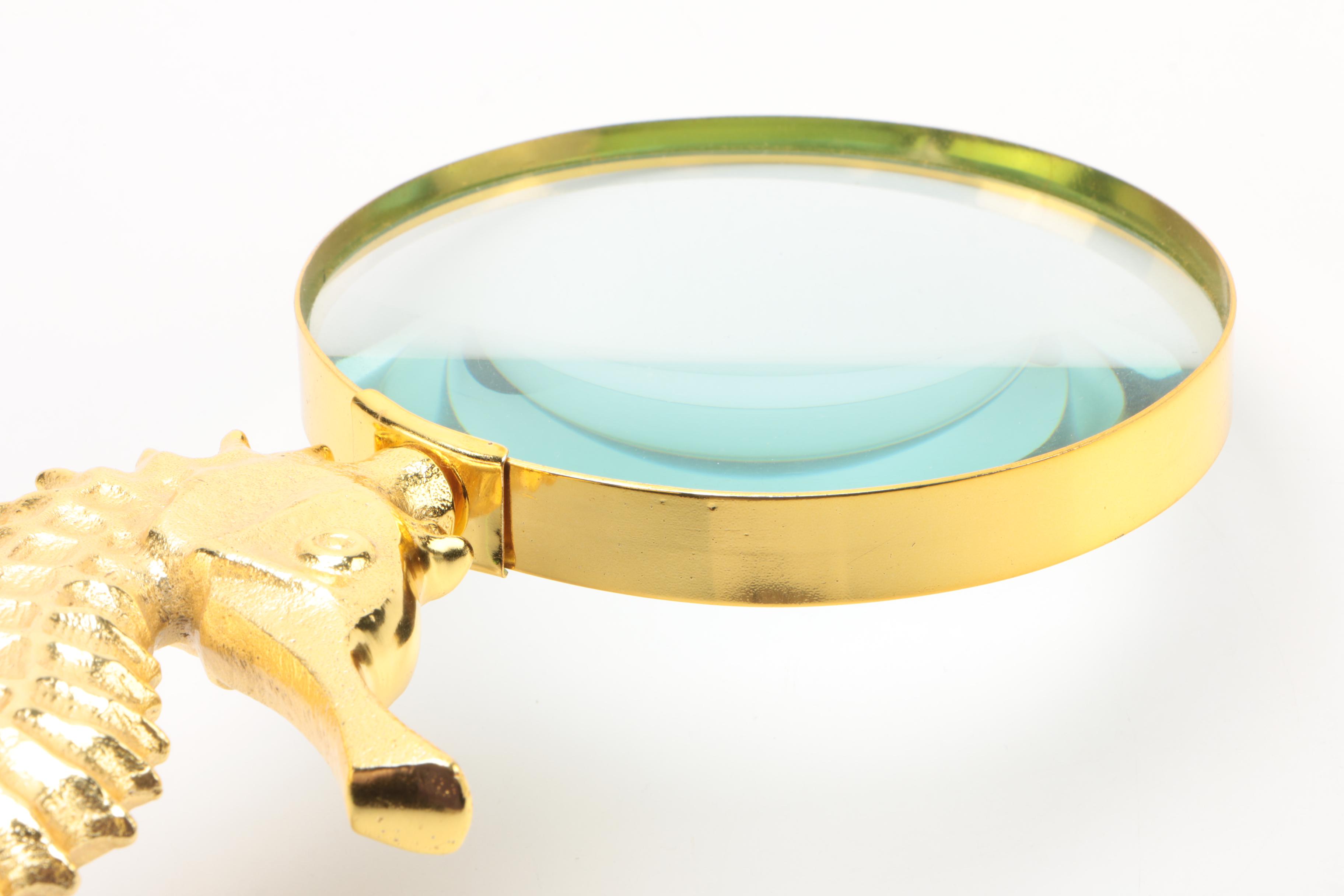 Seahorse Themed Magnifying Glass