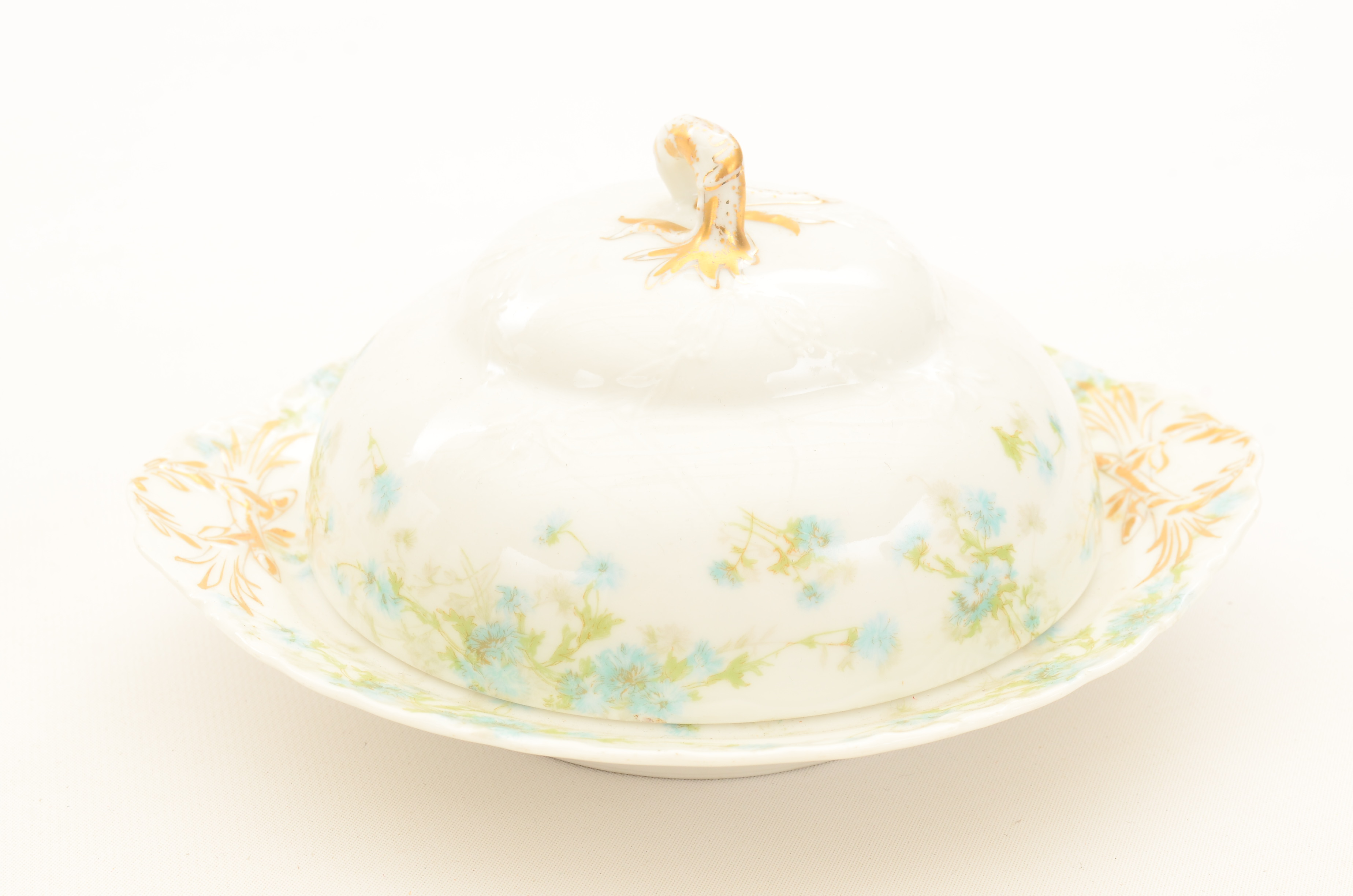 Set of Haviland Limoges Porcelain Dinnerware