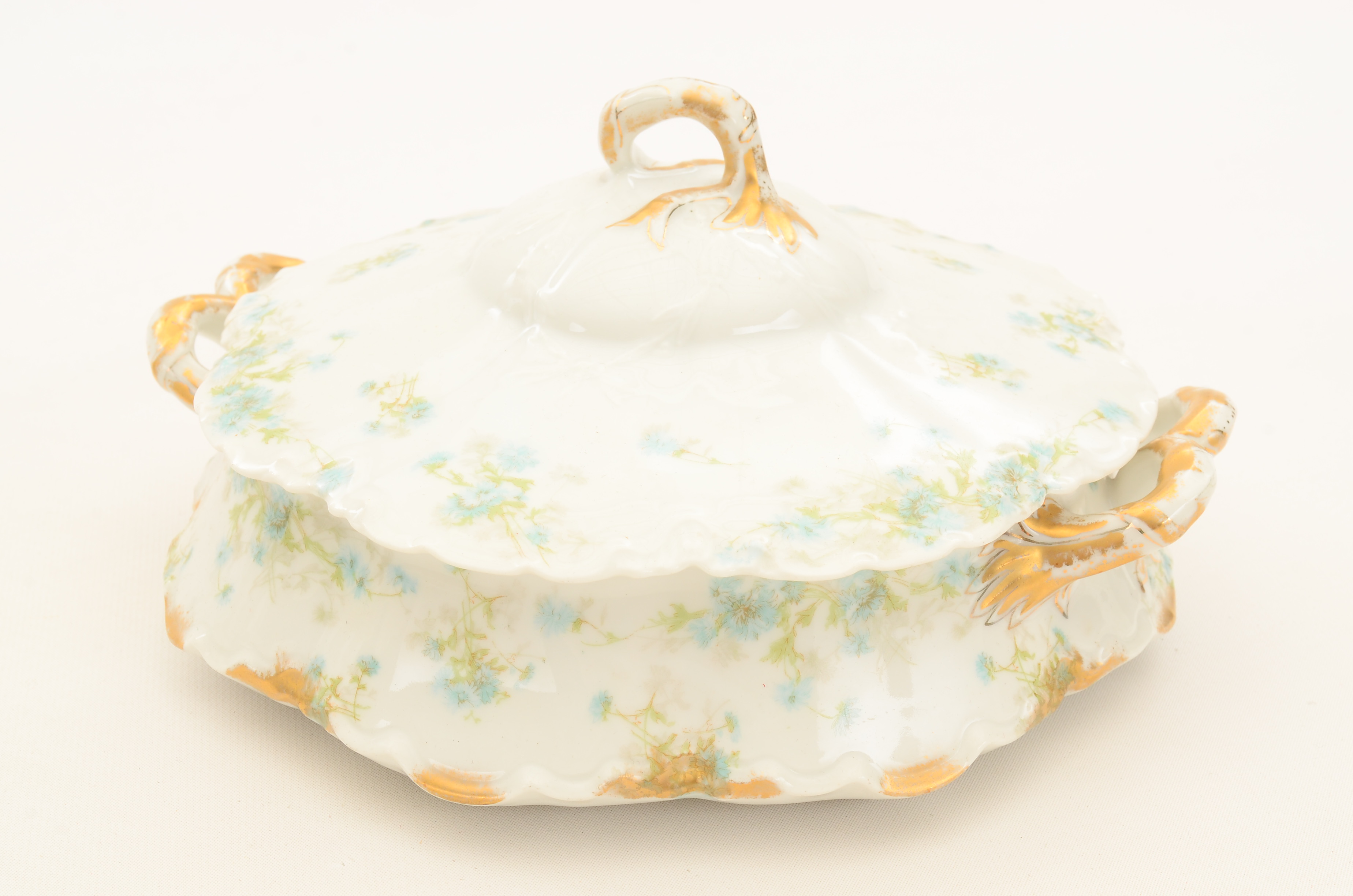 Set of Haviland Limoges Porcelain Dinnerware