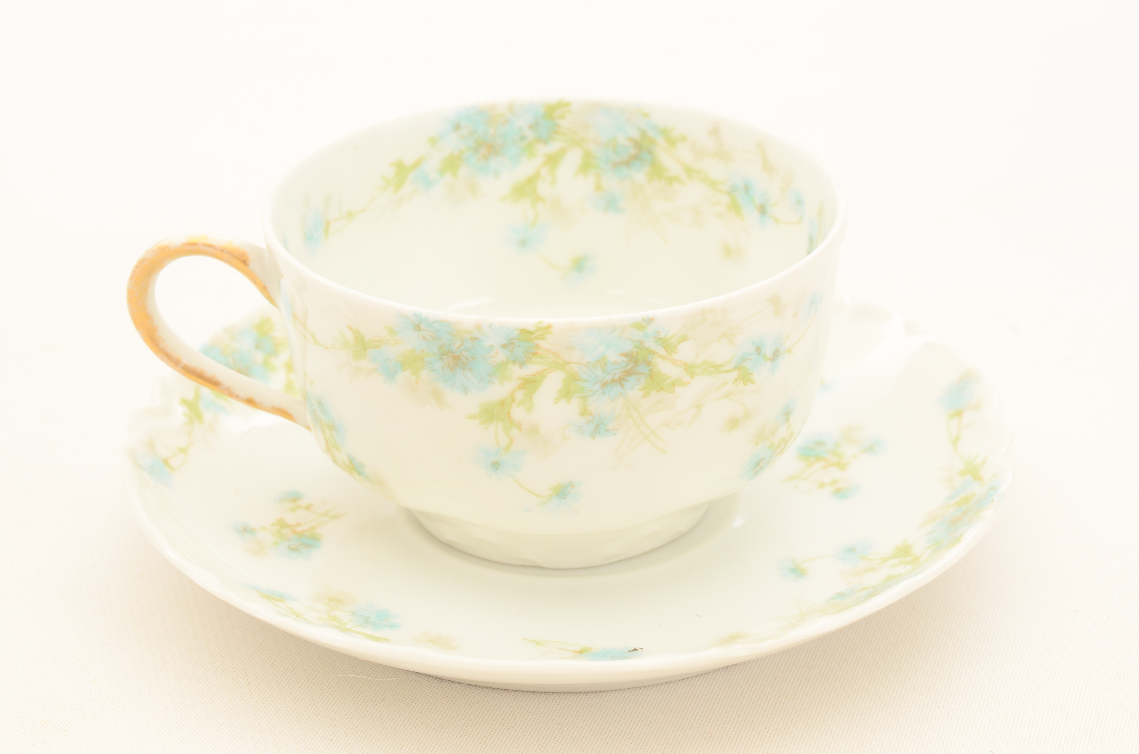 Set of Haviland Limoges Porcelain Dinnerware