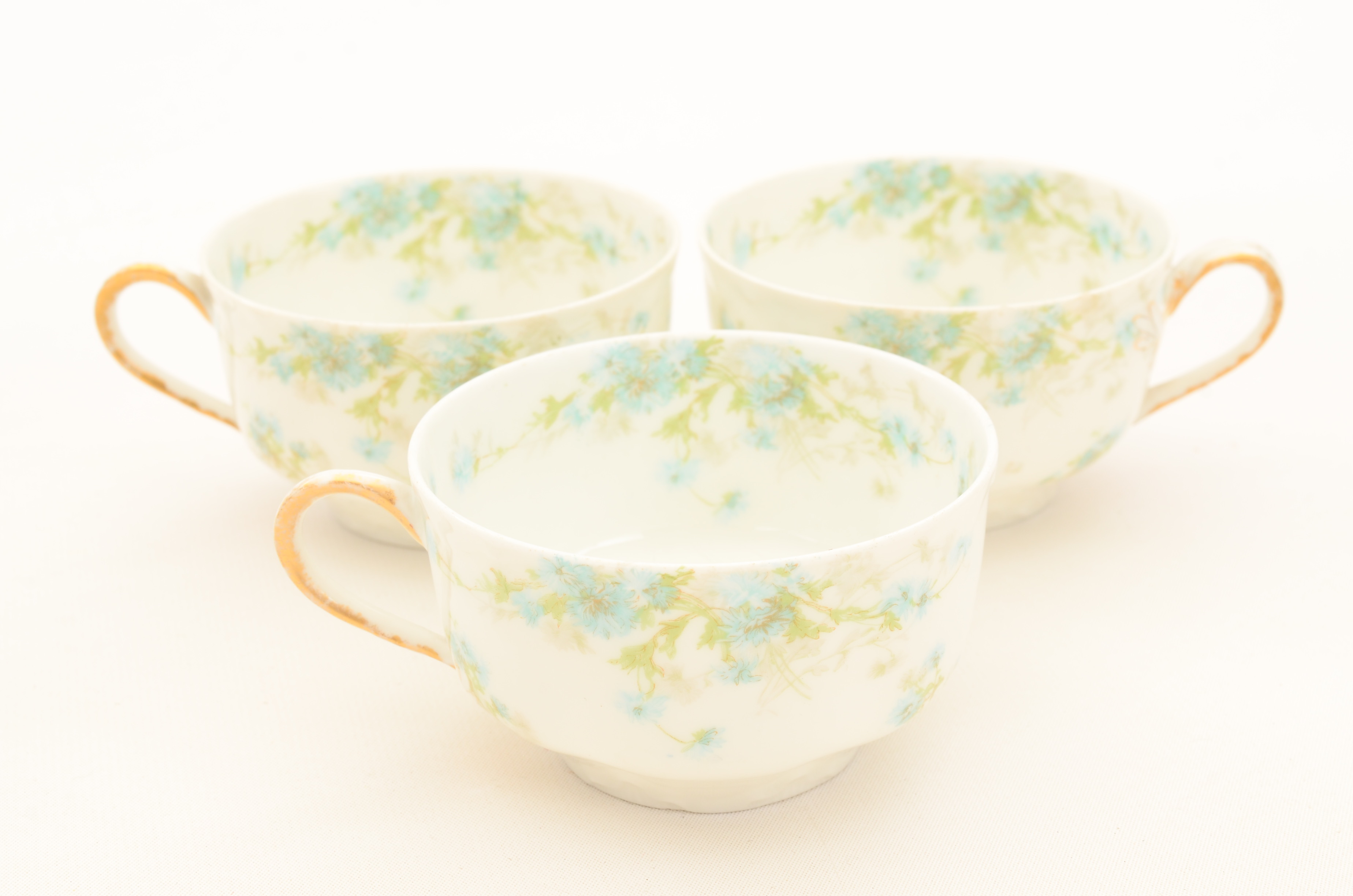 Set of Haviland Limoges Porcelain Dinnerware