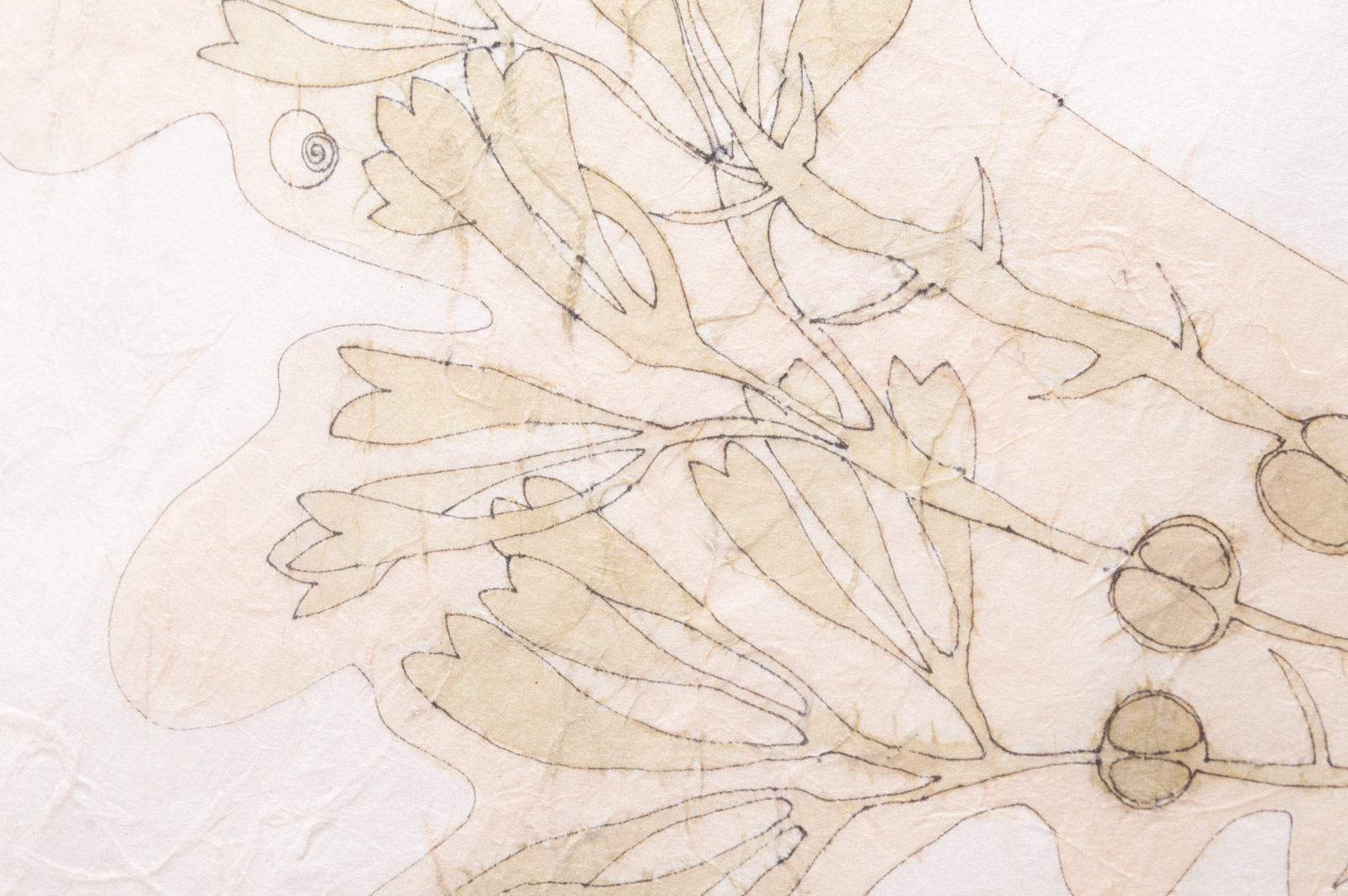 Betty Bryden-Wills Intaglio Print on Paper