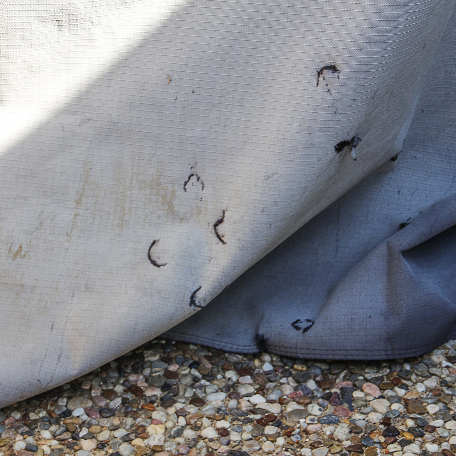 Stainless Steel Char-Broil Commercial Series Gas Grill