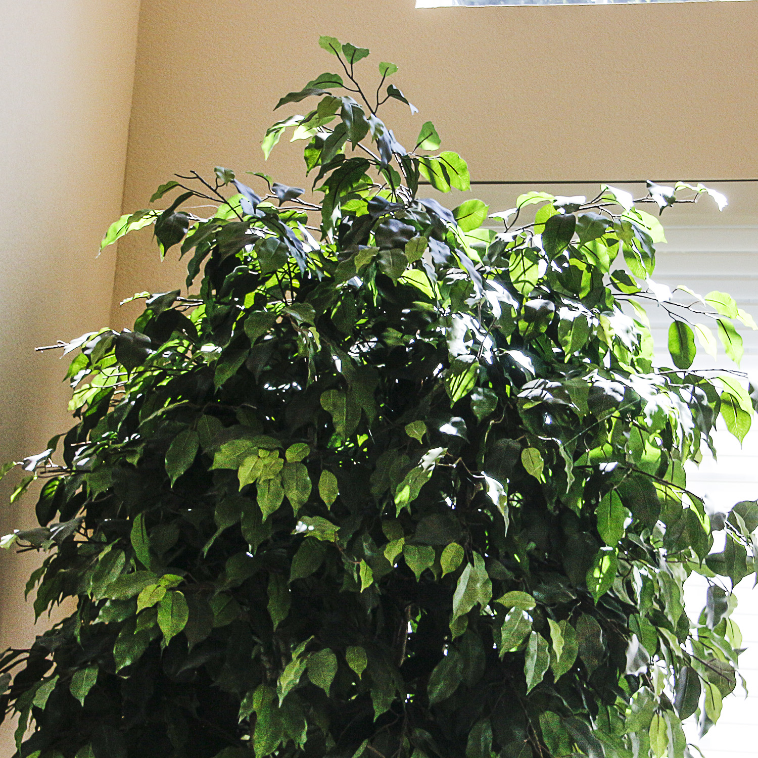 Faux Tree in Chrome Planter