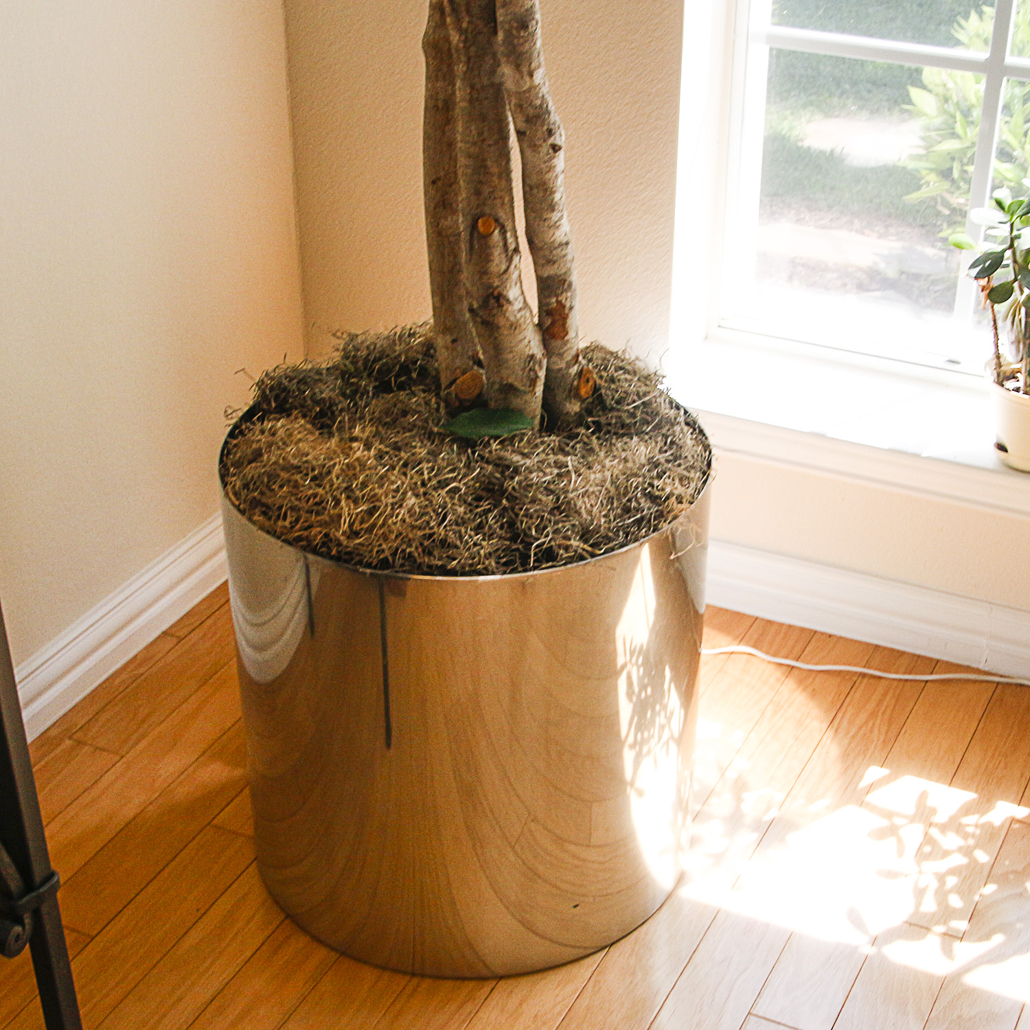 Faux Tree in Chrome Planter