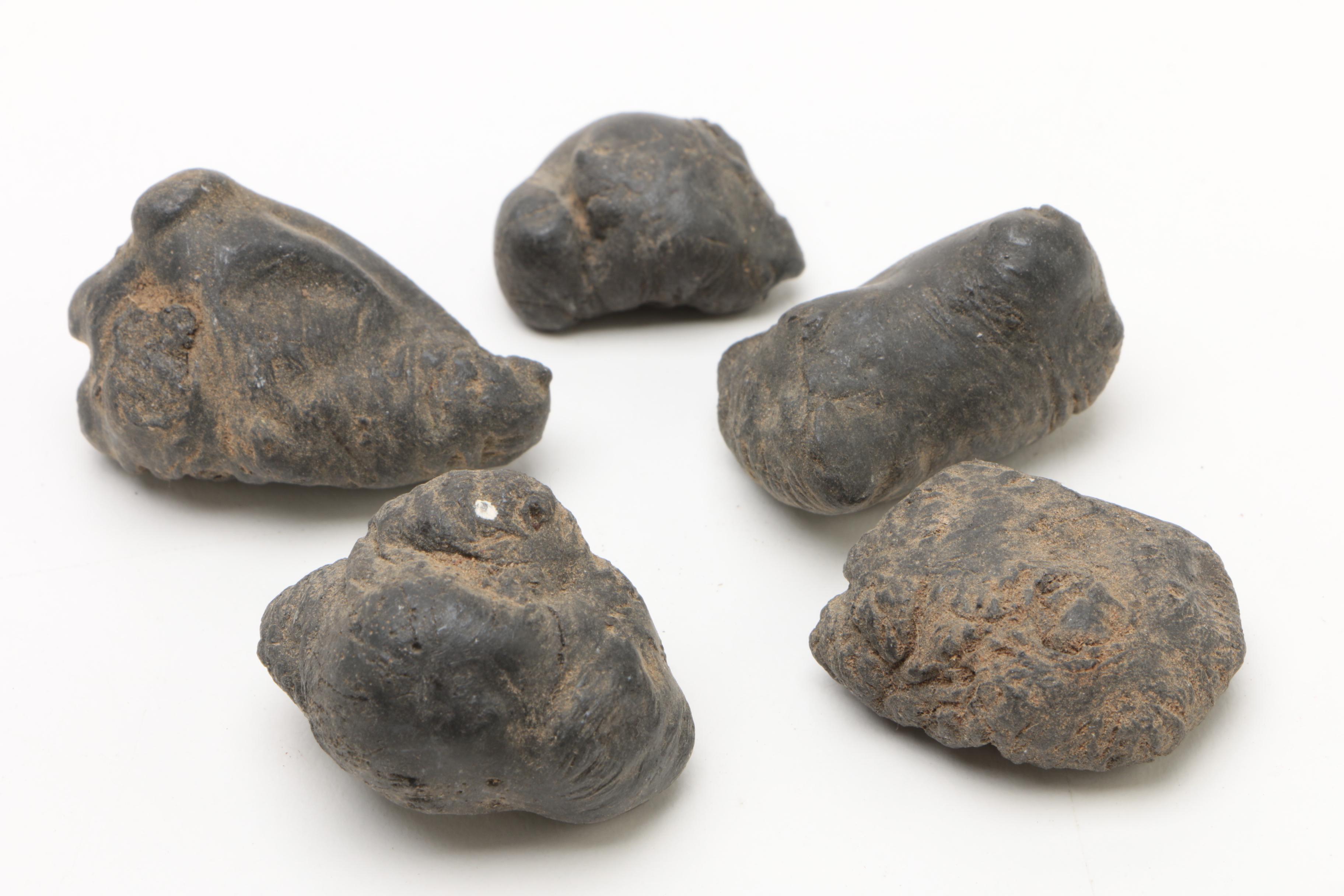 Knapped Bifacial Stone Points and Carved Figures