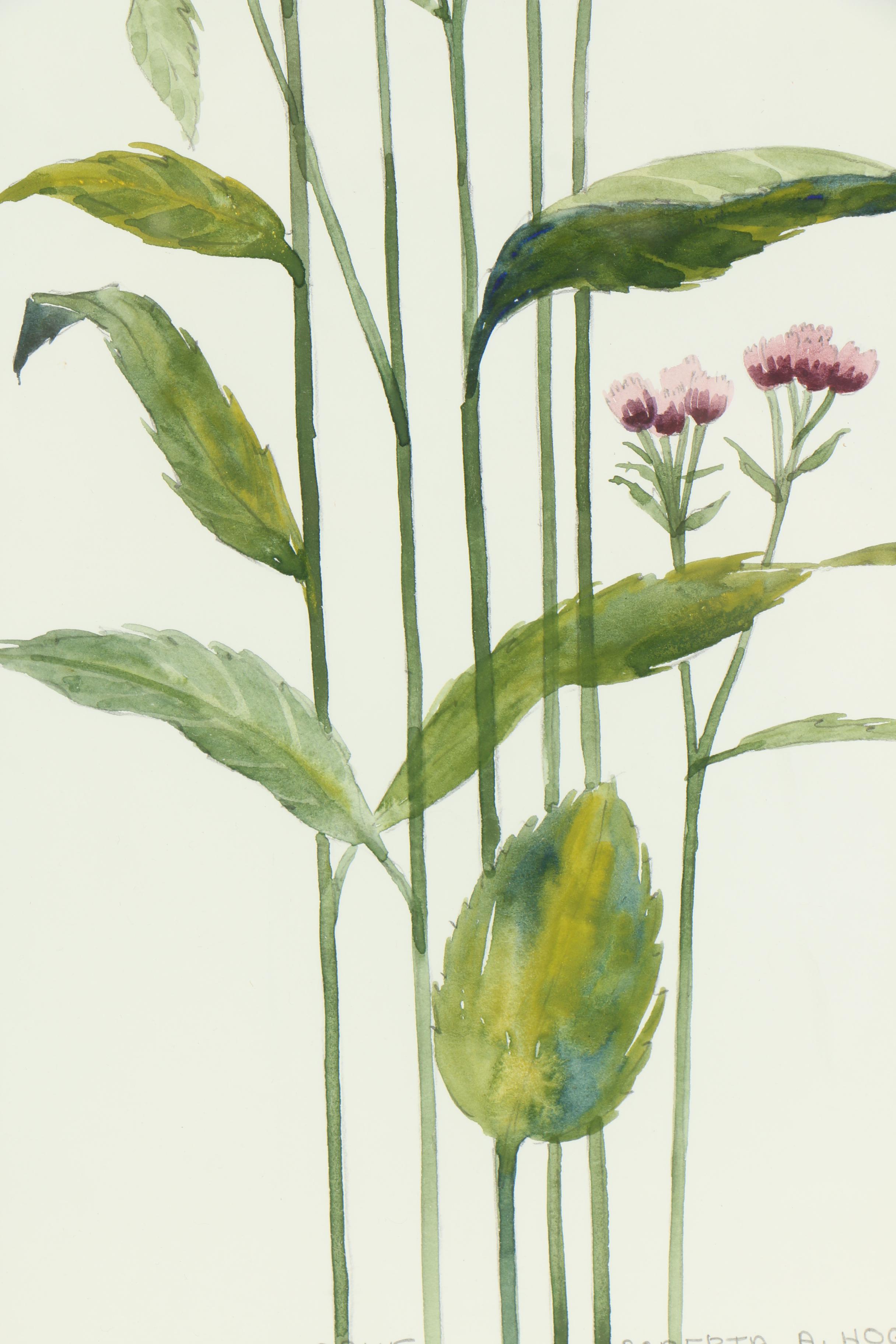 Roberta A. Hogan Watercolor and Gouache Painting "Salt-Marsh Fleabane"