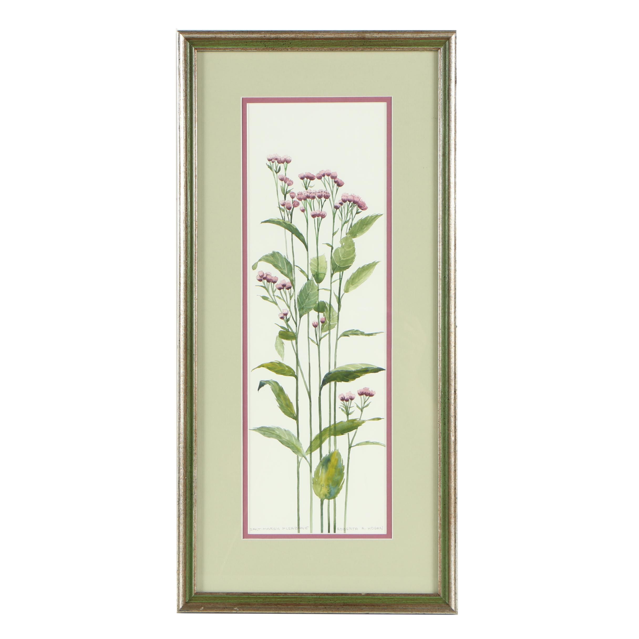 Roberta A. Hogan Watercolor and Gouache Painting "Salt-Marsh Fleabane"