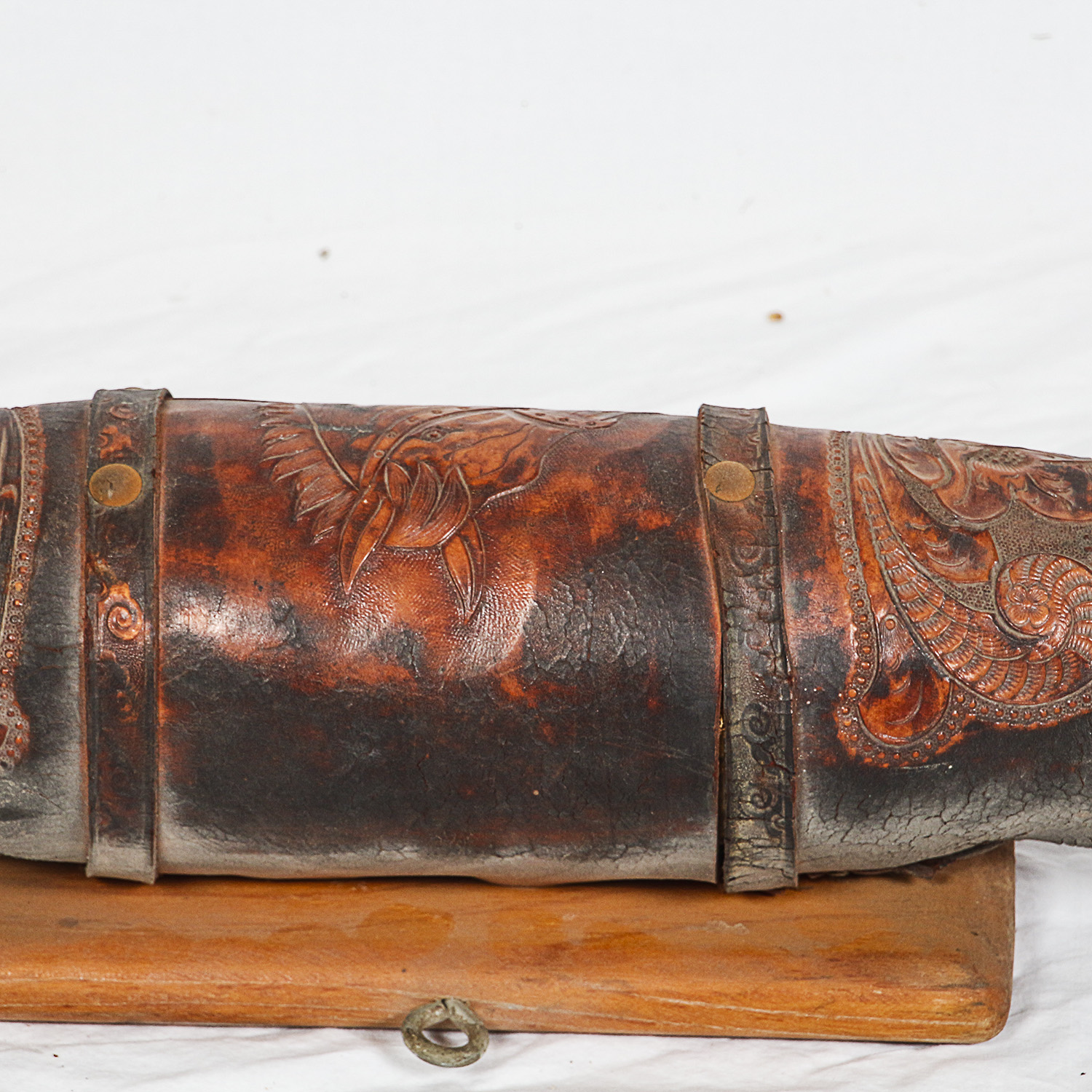 Mounted Bovine Horns