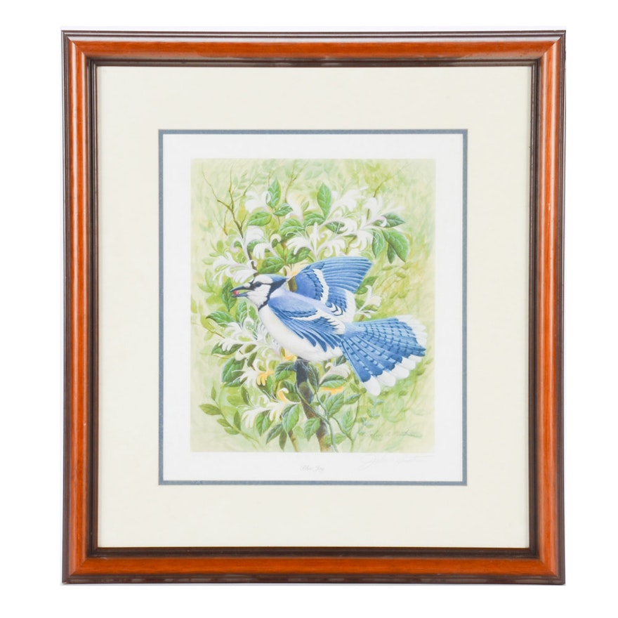 John Ruthven Blue Jay Print