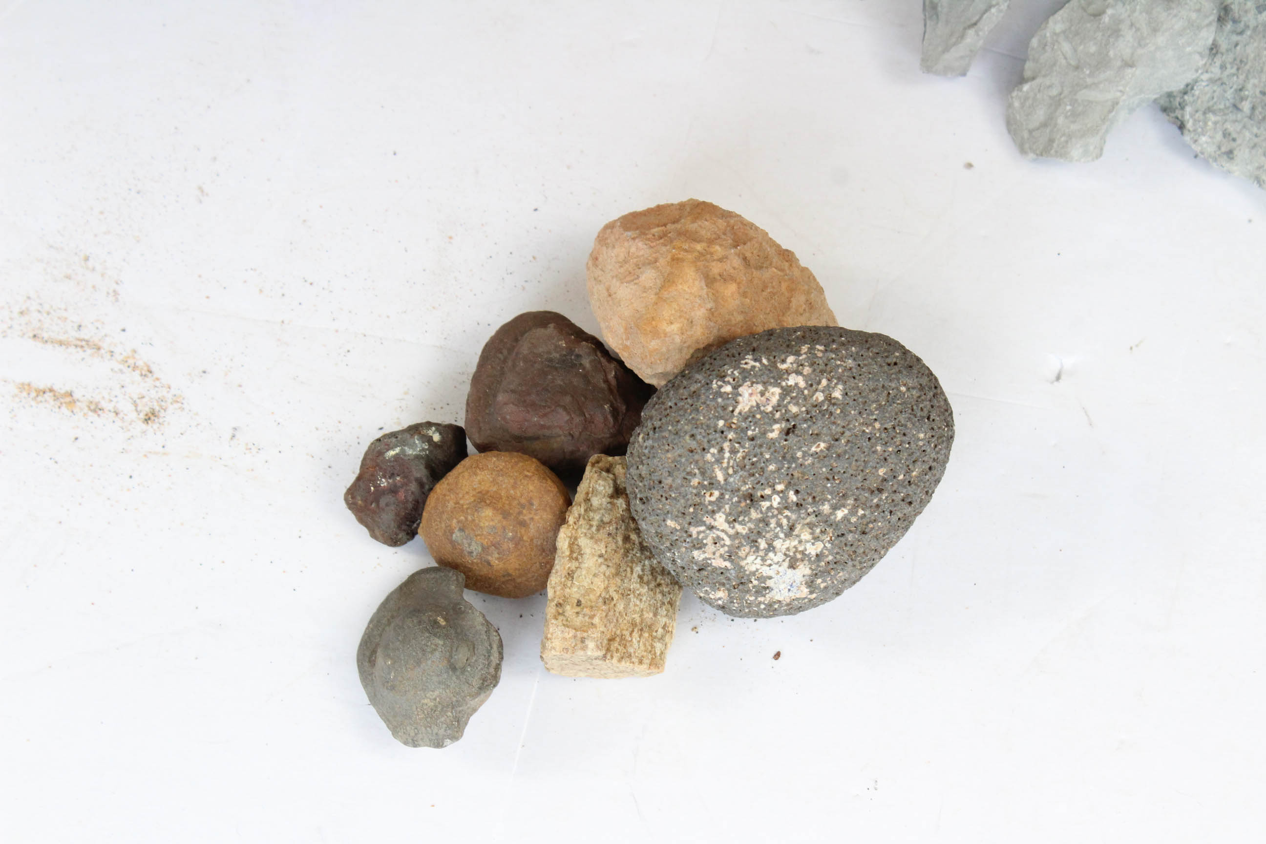 Fossils, Geodes, Flint and Rocks Specimens