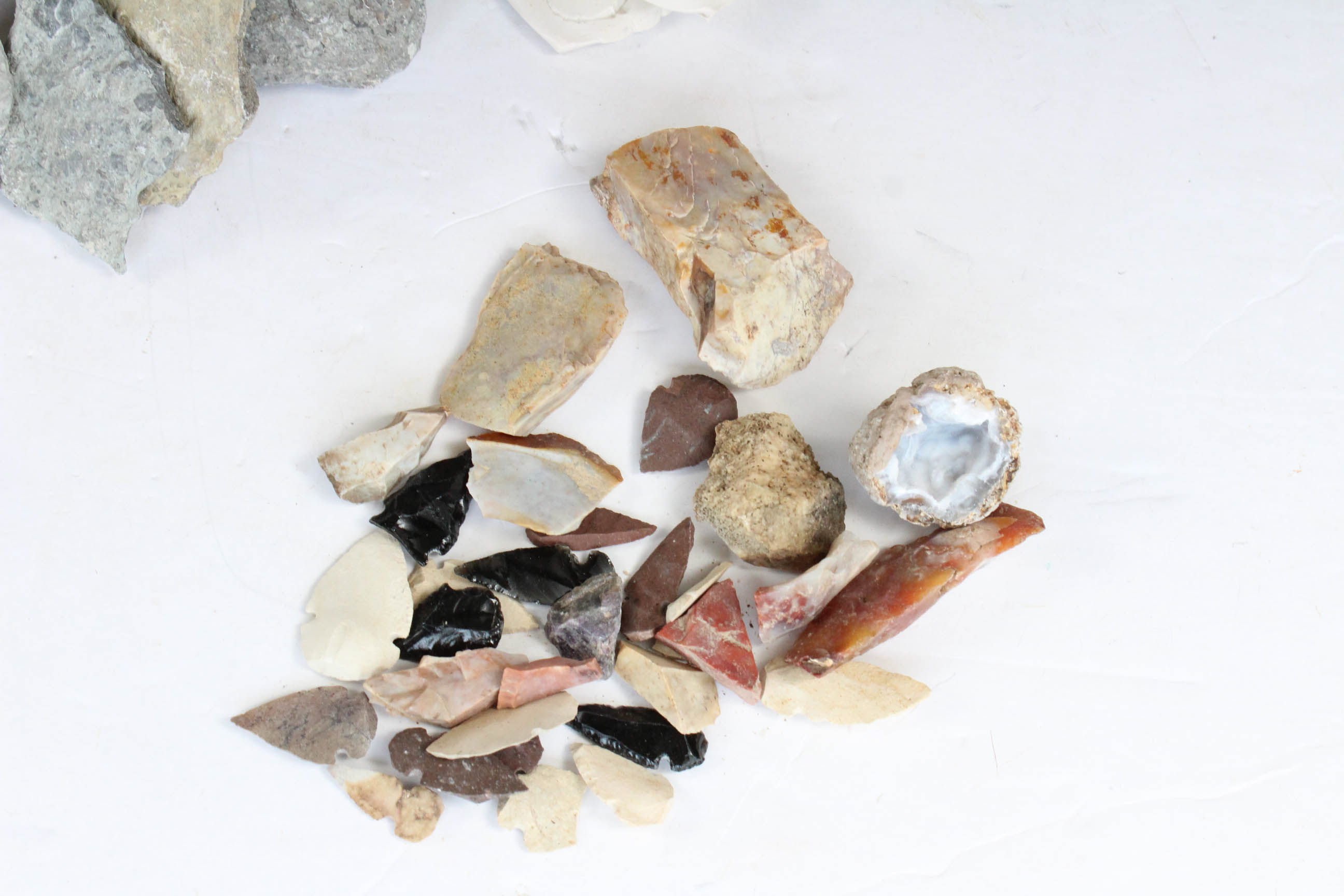 Fossils, Geodes, Flint and Rocks Specimens