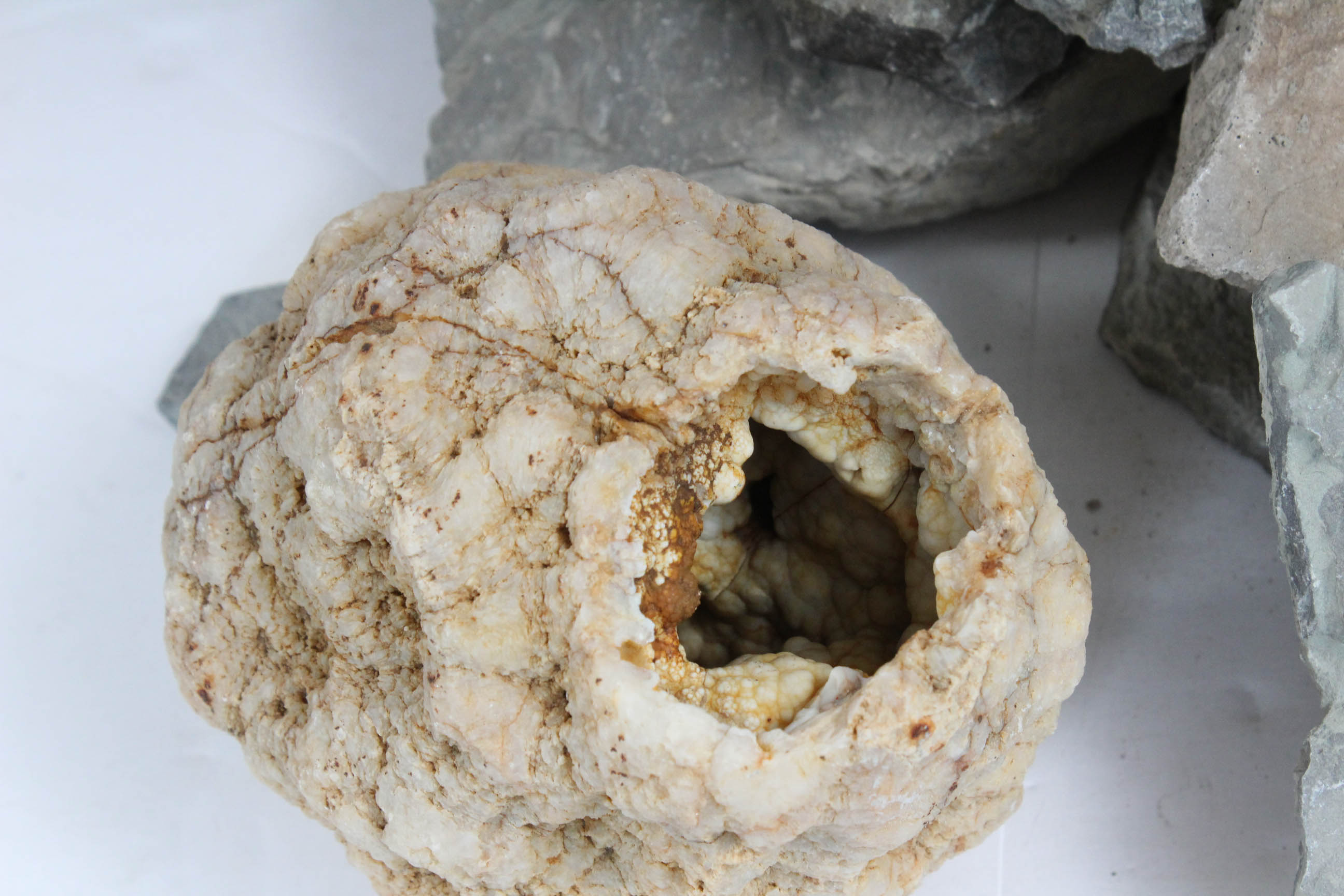 Fossils, Geodes, Flint and Rocks Specimens