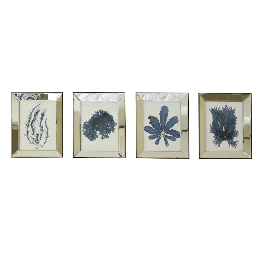 After Henry Bradbury Offset Lithograph Prints of Blue Plants