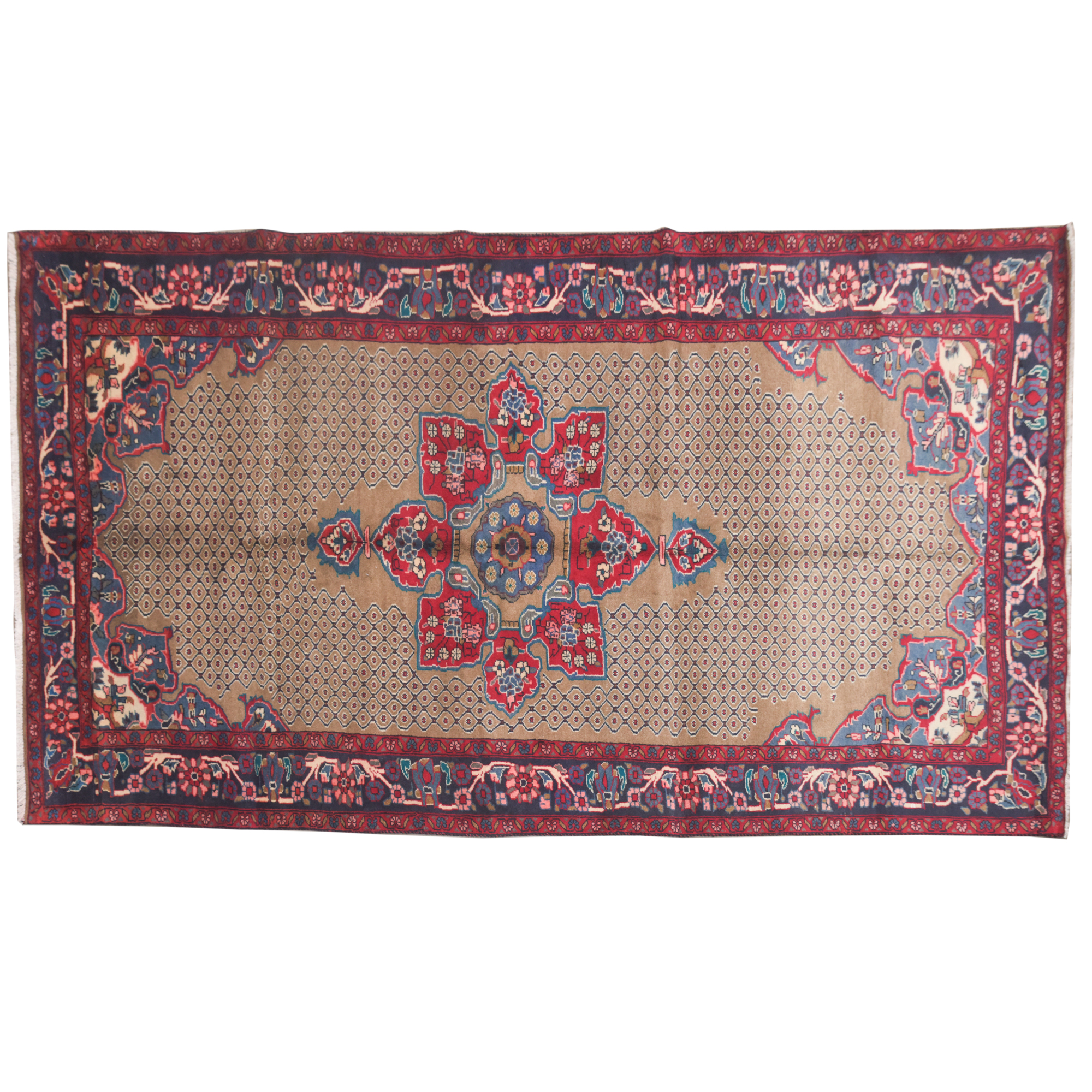 Hand-Knotted Persian Senneh Wool Long Rug