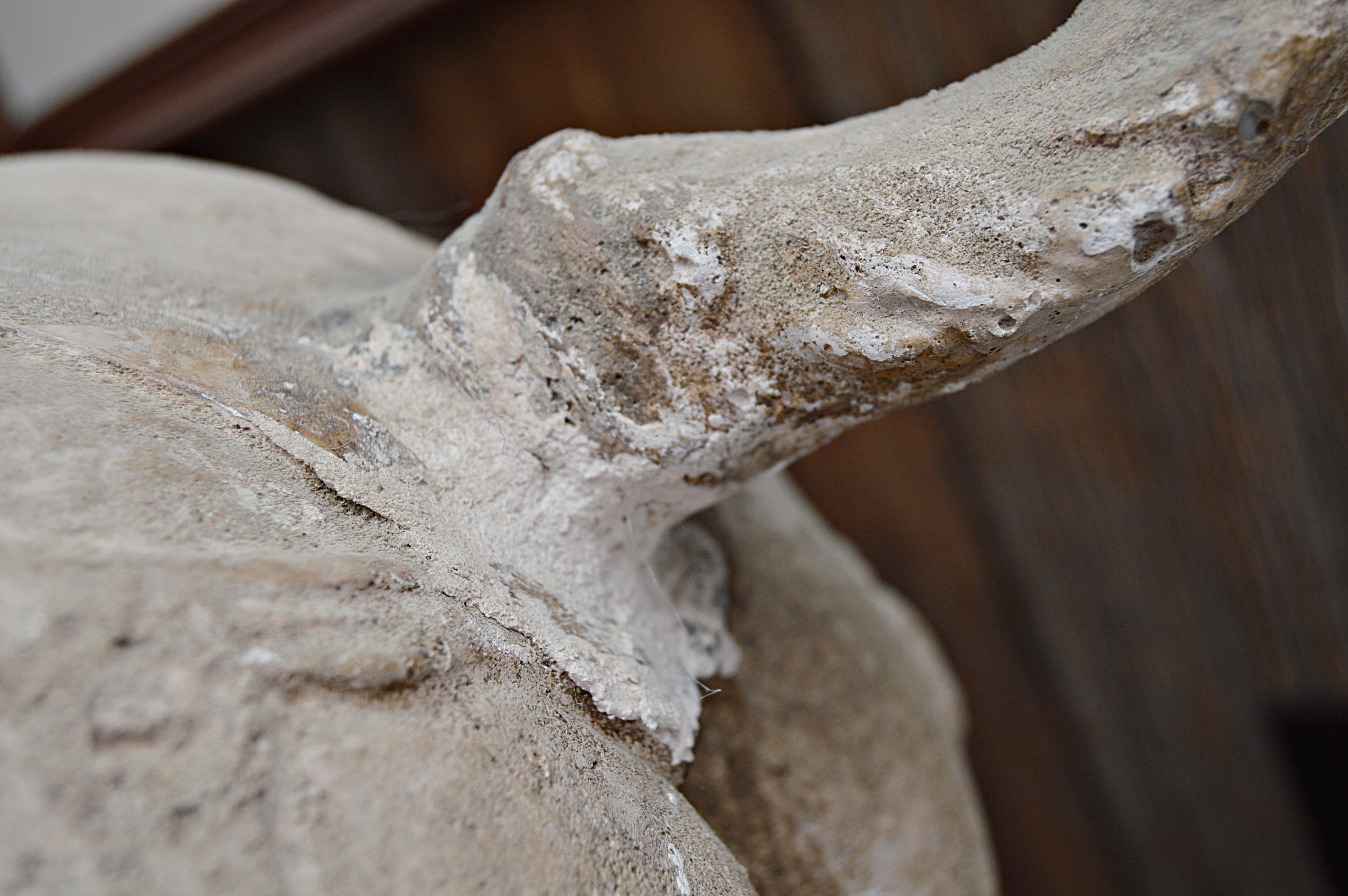 Cast Plaster Horse Attributed to Salvatore Pietra