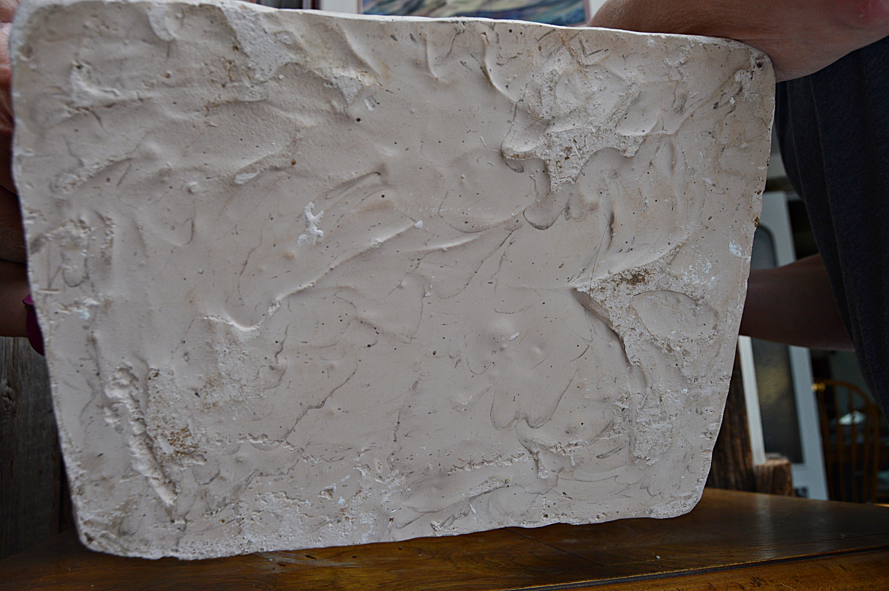 Cast Plaster Horse Attributed to Salvatore Pietra