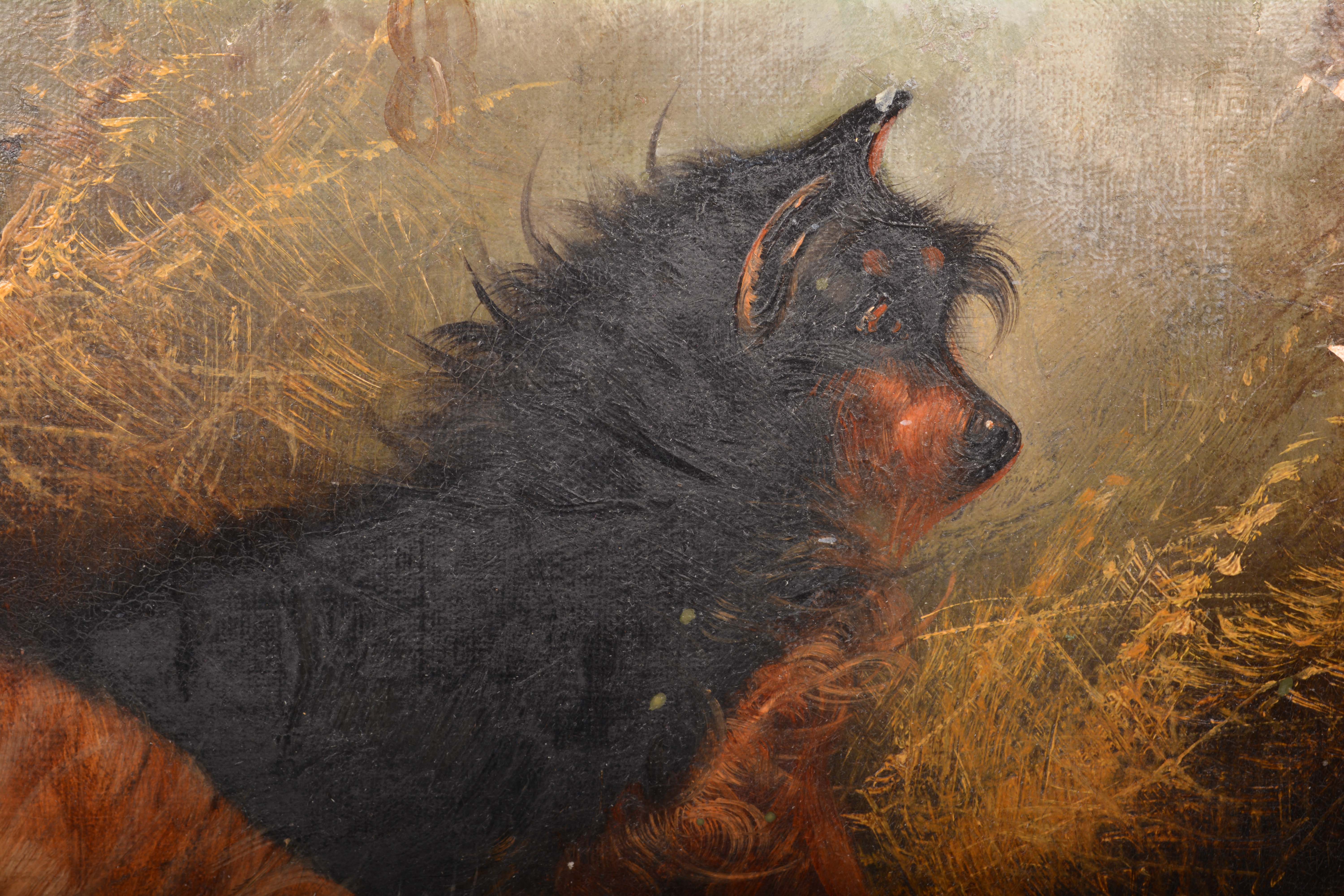 Edward Armfield Oil Painting of Dogs