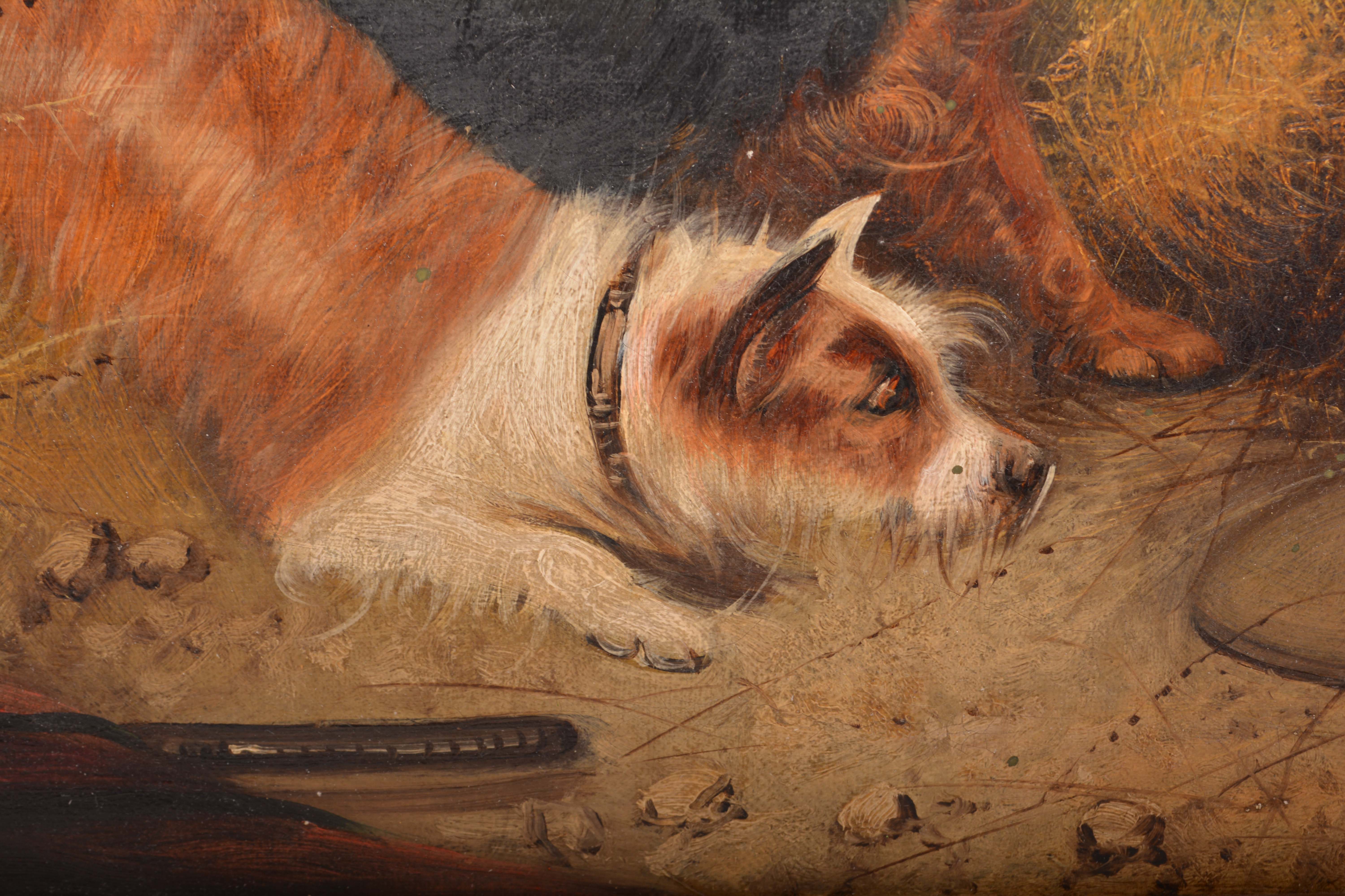 Edward Armfield Oil Painting of Dogs