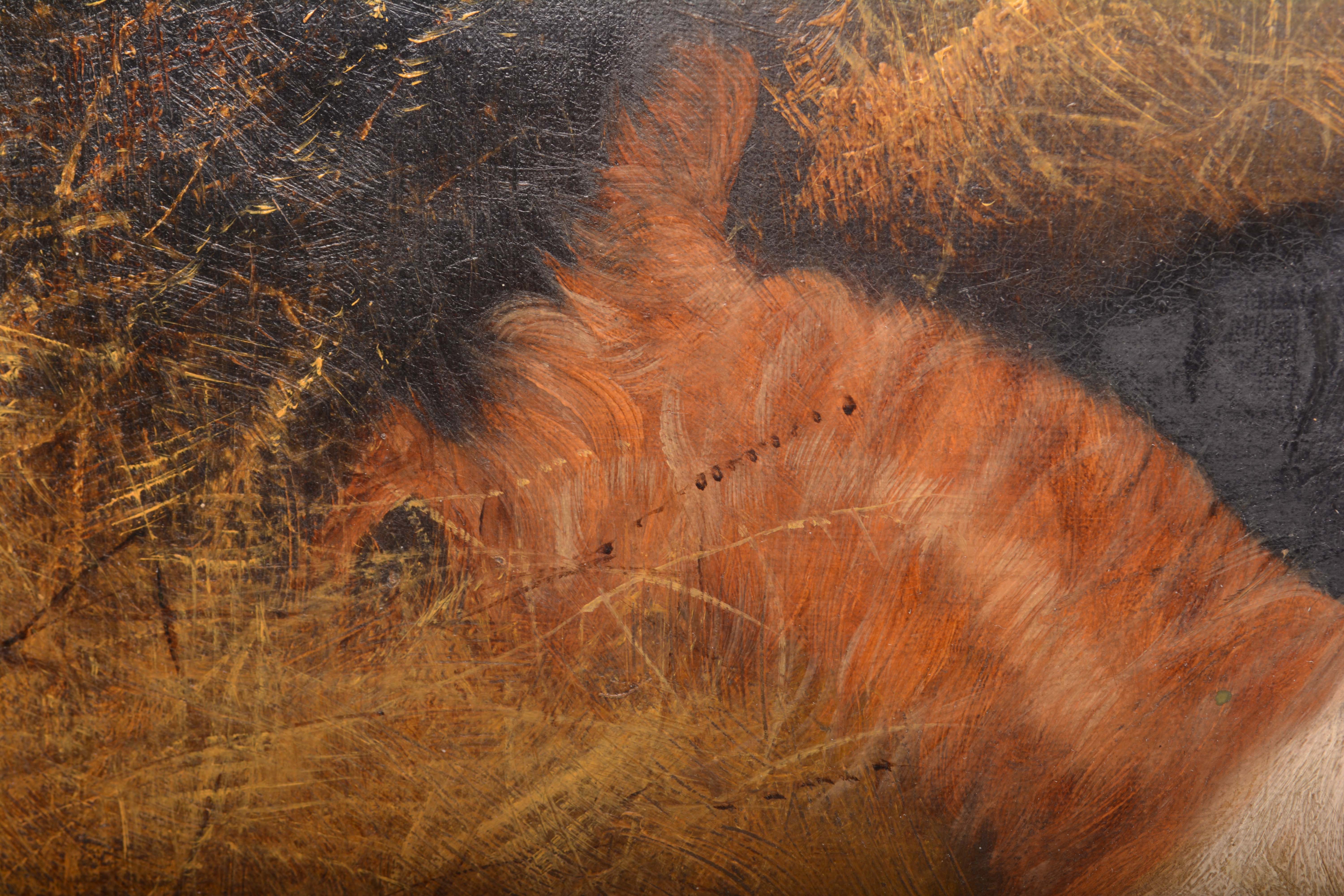 Edward Armfield Oil Painting of Dogs