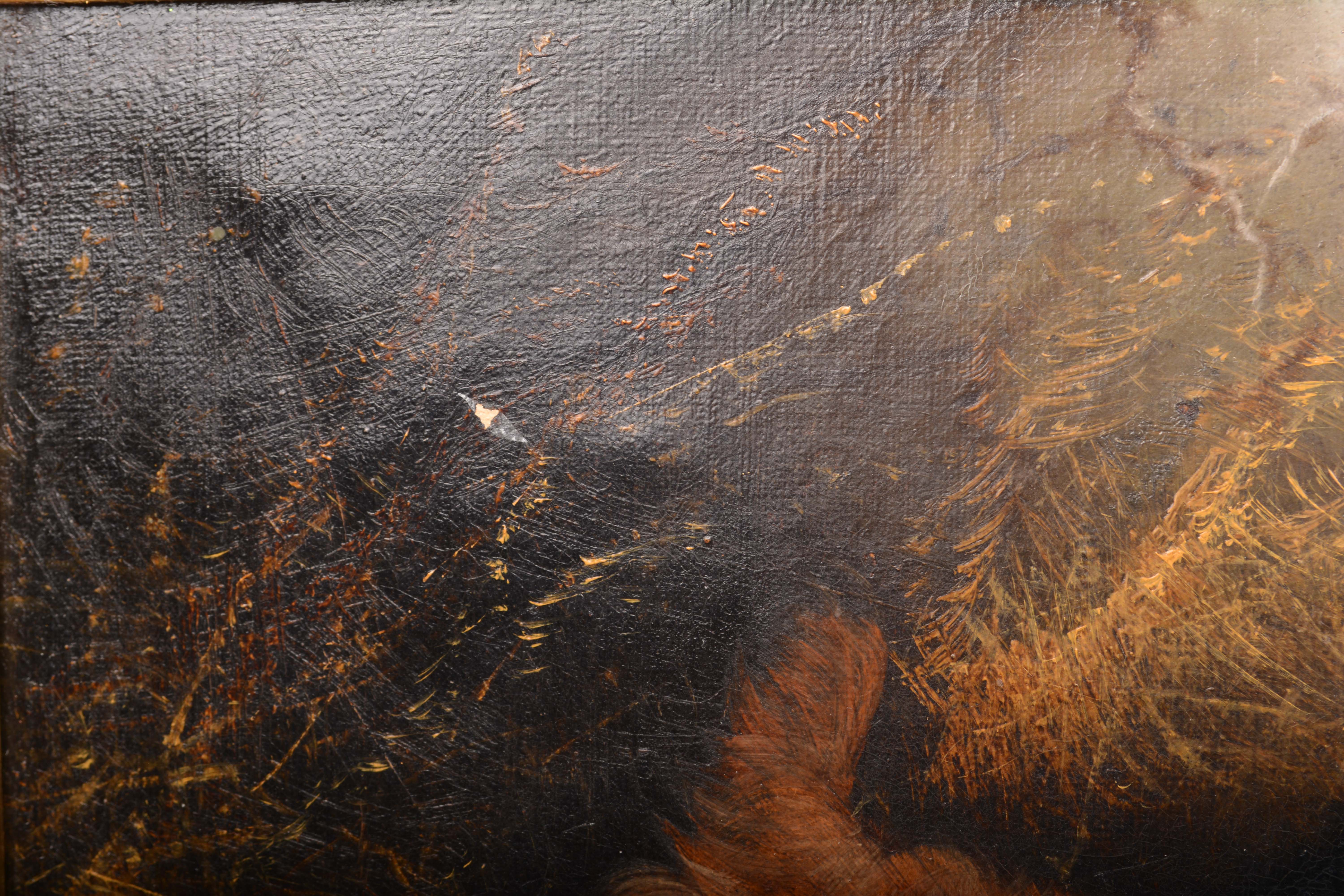 Edward Armfield Oil Painting of Dogs